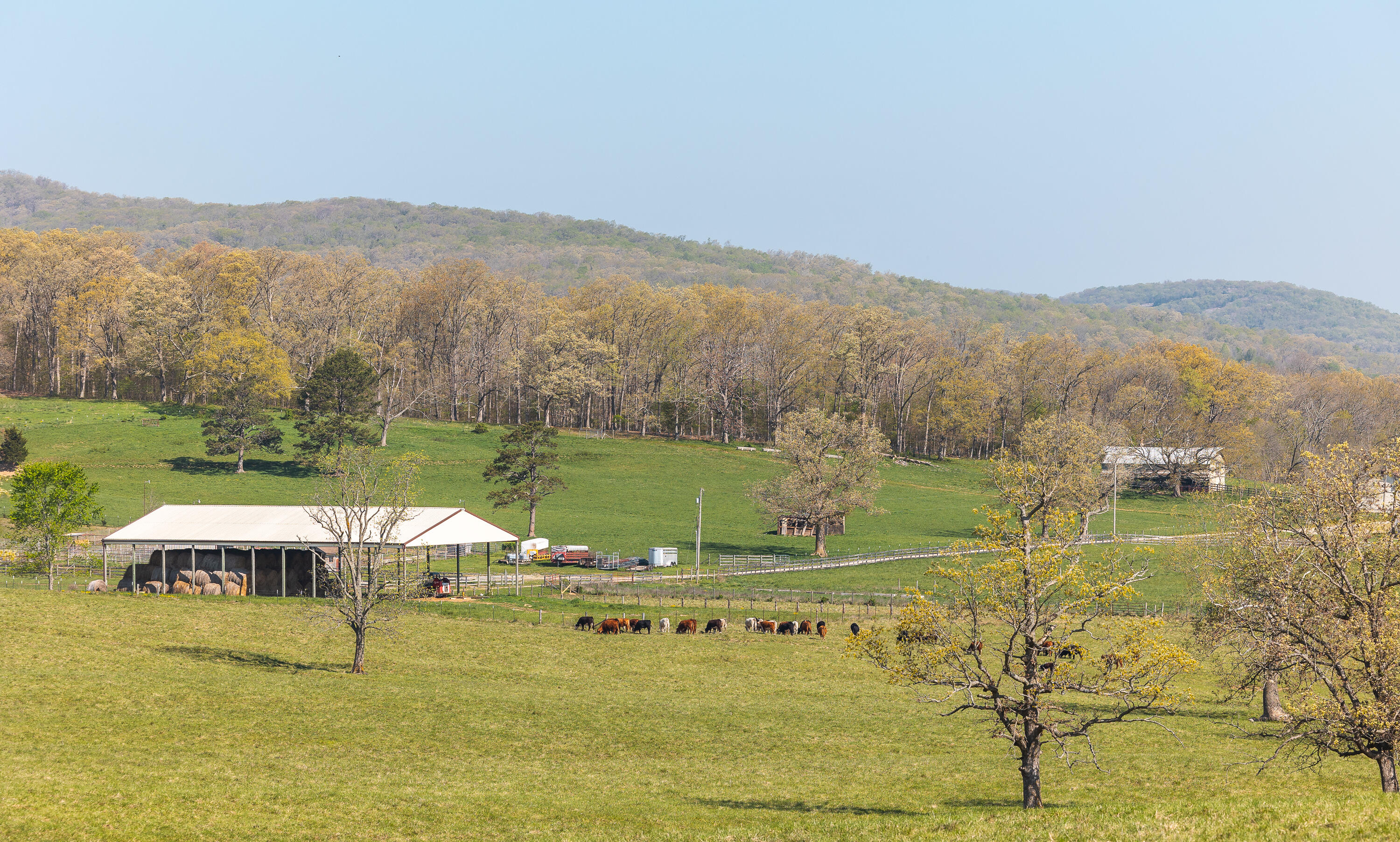 Photo 15 - Land for sale – 260  Kentucky Derby Lane  Arcadia, MO