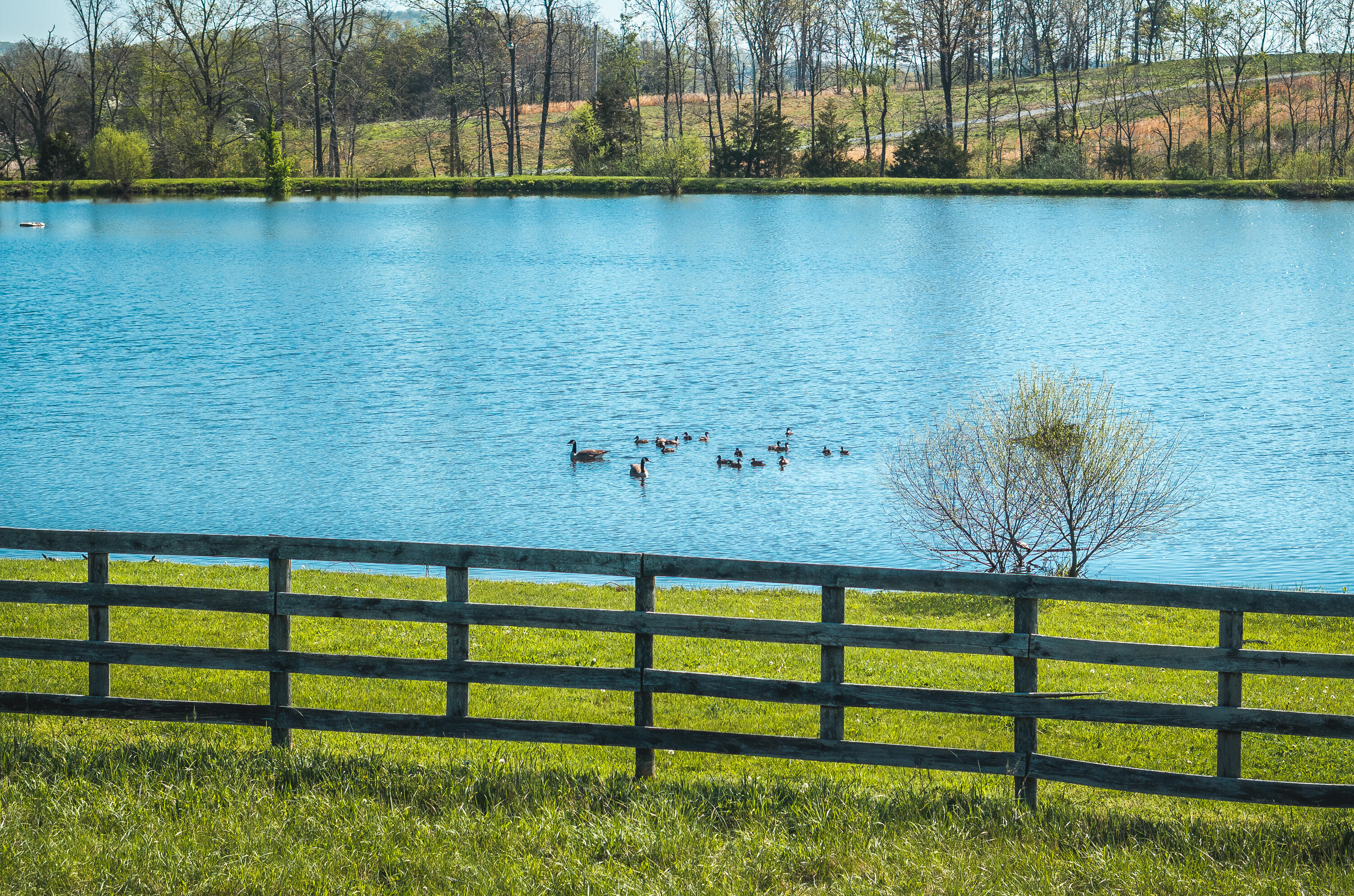 Photo 60 - Land for sale – 260  Kentucky Derby Lane  Arcadia, MO
