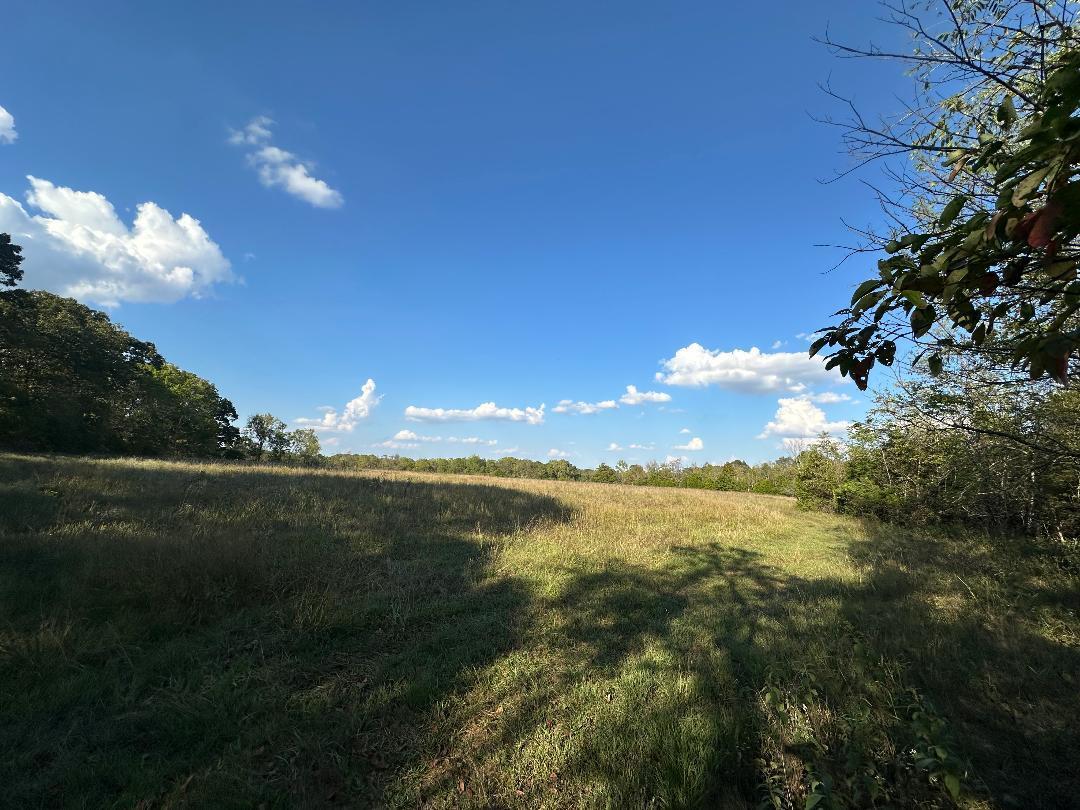 Photo 5 - Land for sale – 000  N Highway  Mountain Grove, MO