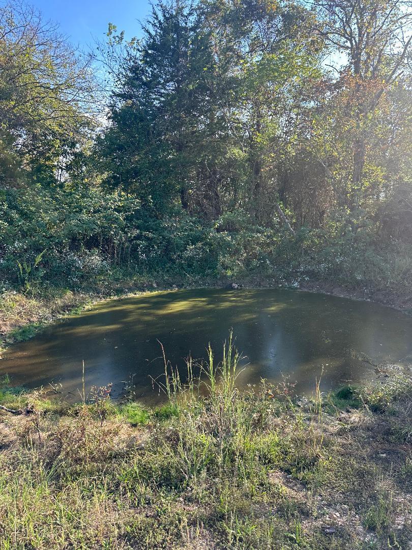 Land for sale – 000  N Highway  Mountain Grove, MO
