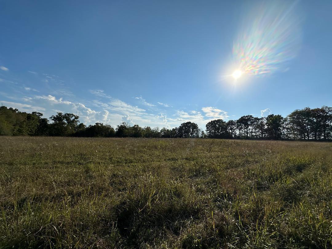 Photo 2 - Land for sale – 000  N Highway  Mountain Grove, MO