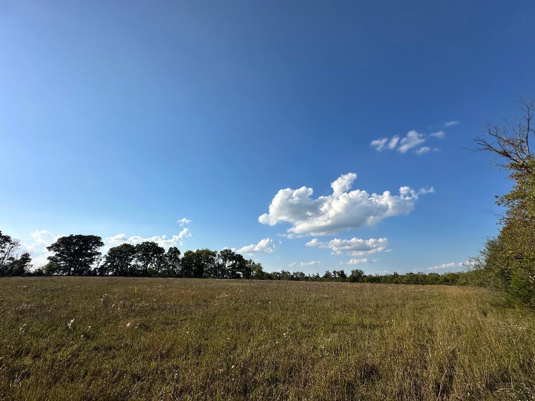 Photo 3 - Land for sale – 000  N Highway  Mountain Grove, MO
