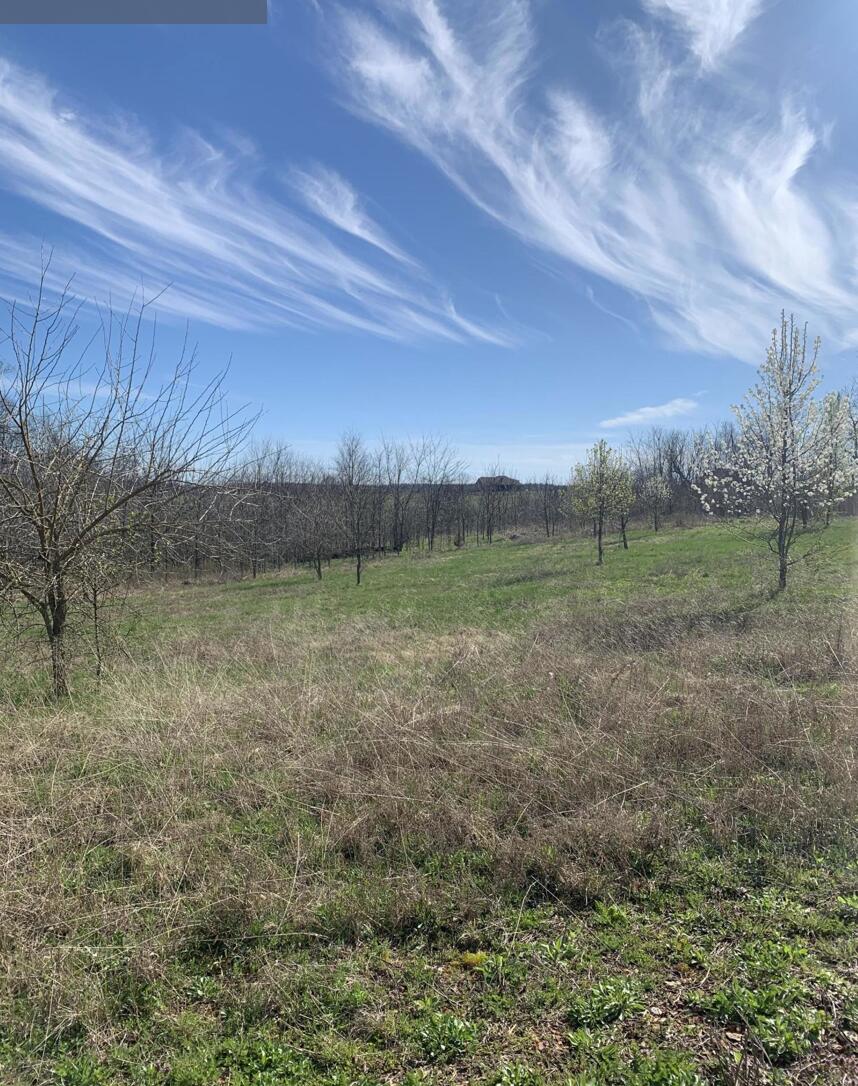 Photo 2 - Land for sale – 20a  Black Stone Drive  Republic, MO