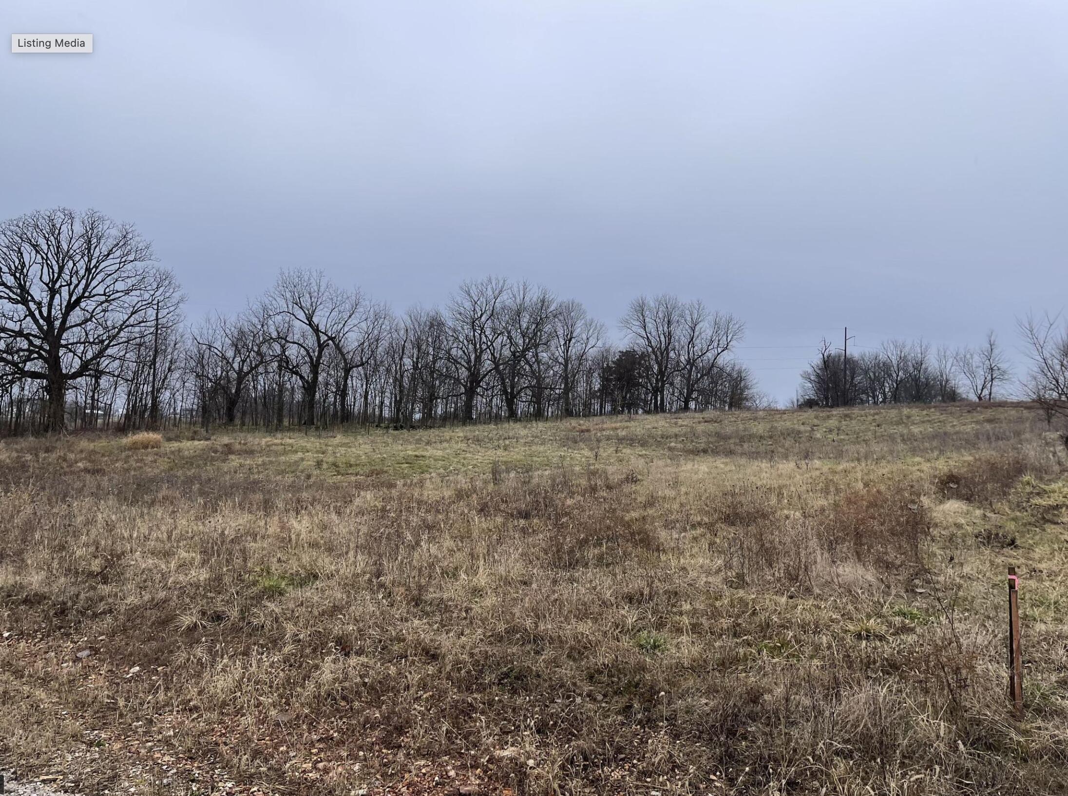 Photo 4 - Land for sale – 20a  Black Stone Drive  Republic, MO