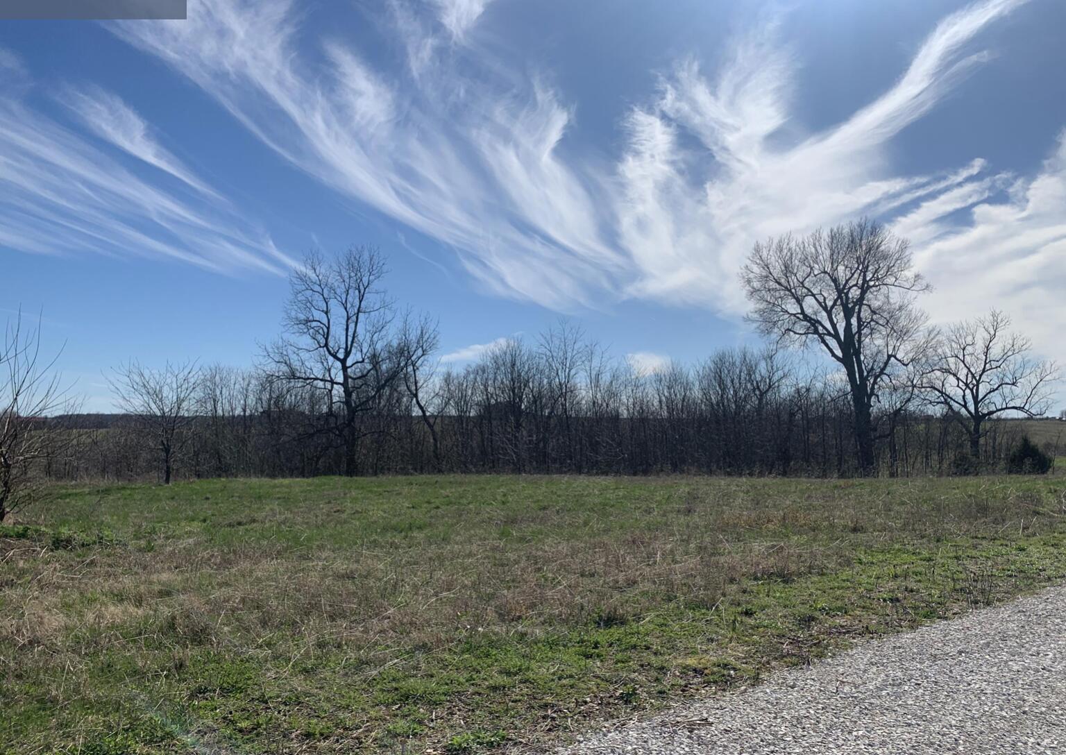 Photo 3 - Land for sale – 20a  Black Stone Drive  Republic, MO