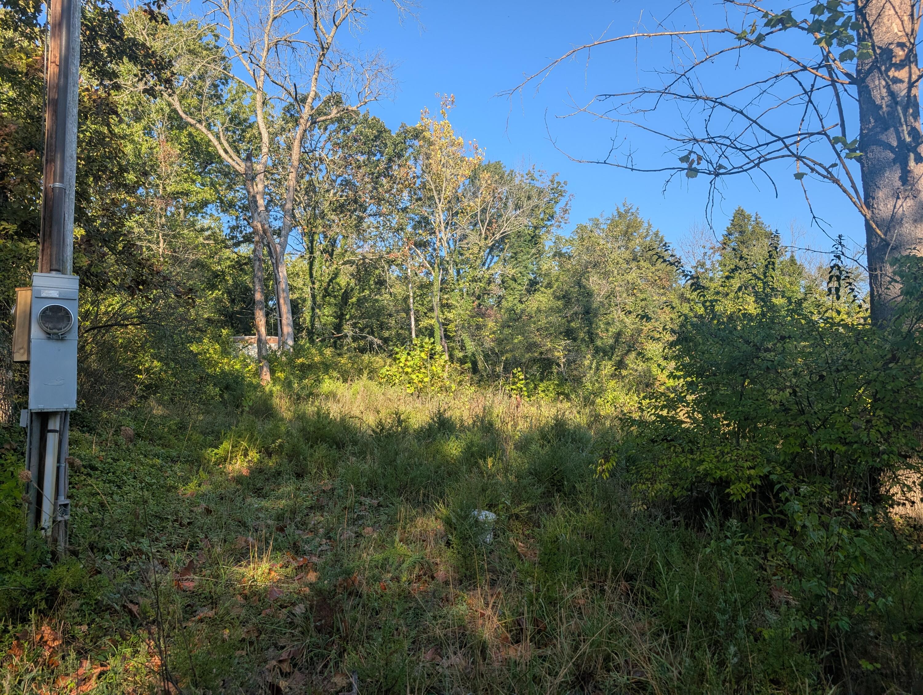 Photo 2 - Land for sale – 19,20,21  Turkey Mtn. Estates #2   Shell Knob, MO