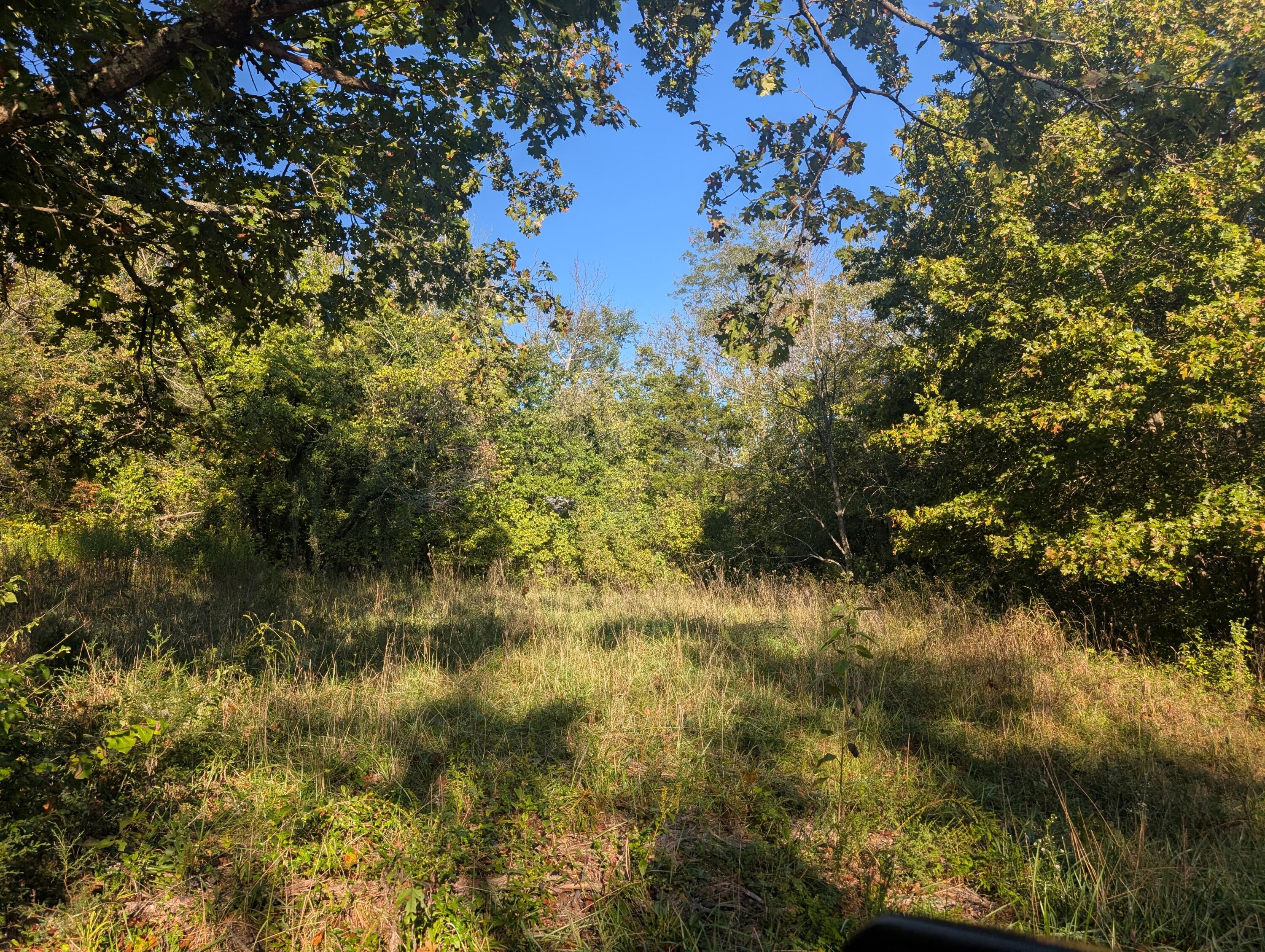 Land for sale – 19,20,21  Turkey Mtn. Estates #2   Shell Knob, MO