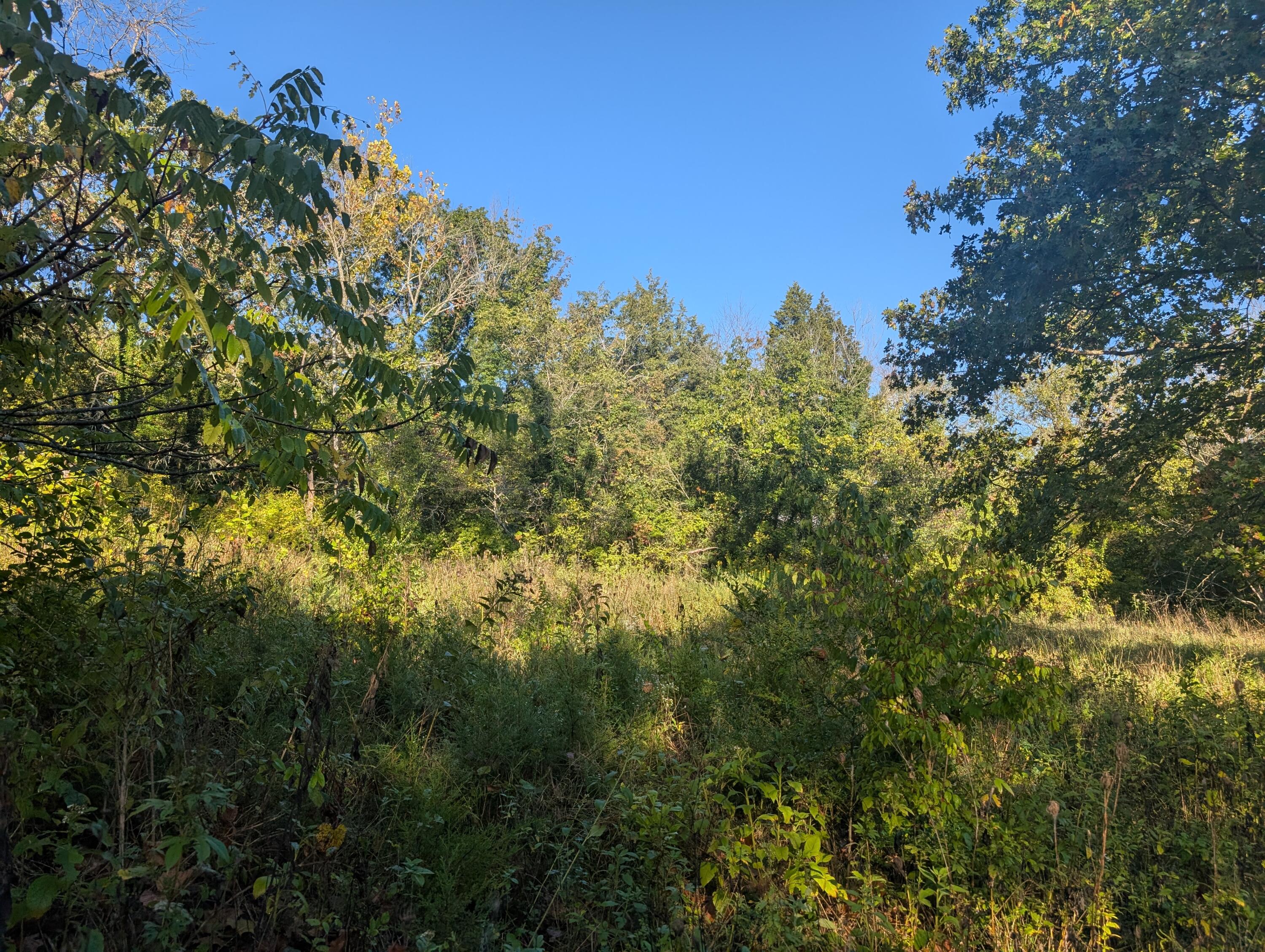 Photo 3 - Land for sale – 19,20,21  Turkey Mtn. Estates #2   Shell Knob, MO