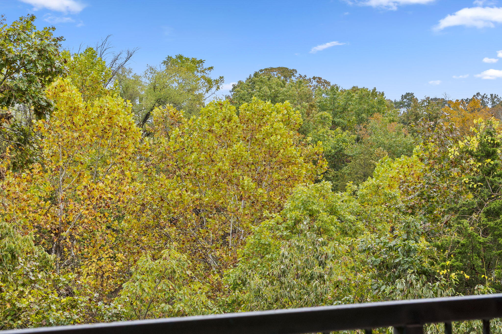 Photo 49 - Residential for sale – 505  Valley View Drive  Branson, MO