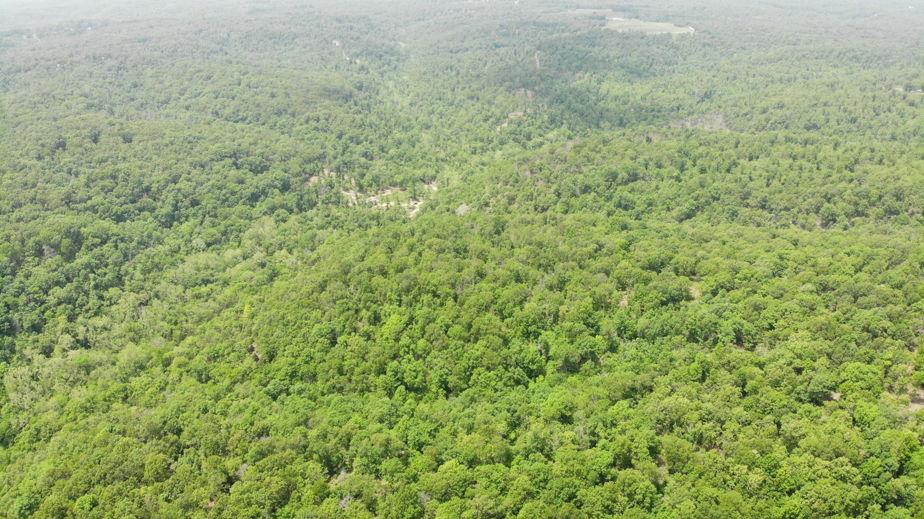 Photo 5 - Land for sale – 000  64 Hwy   Lebanon, MO
