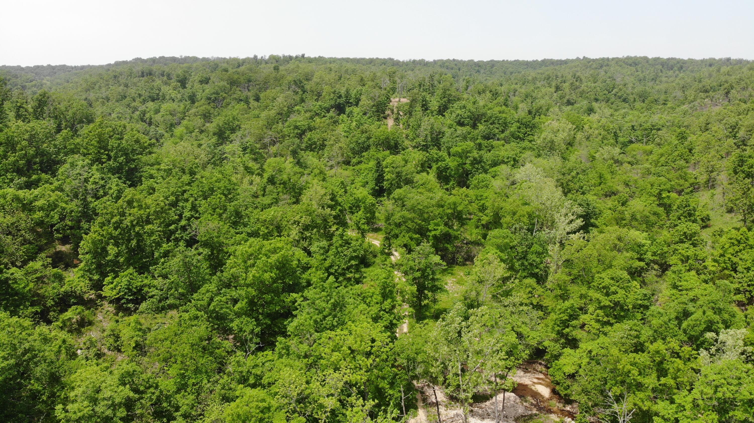 Photo 6 - Land for sale – 000  64 Hwy   Lebanon, MO