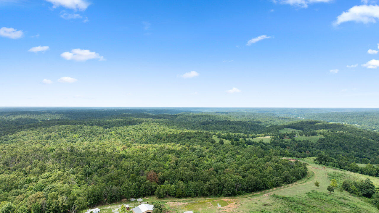 Photo 8 - Land for sale – Tract 1  Styles Road  Noel, MO
