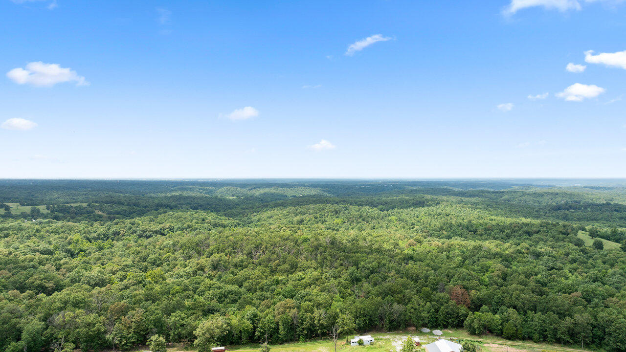 Photo 6 - Land for sale – Tract 2  Styles Road  Noel, MO