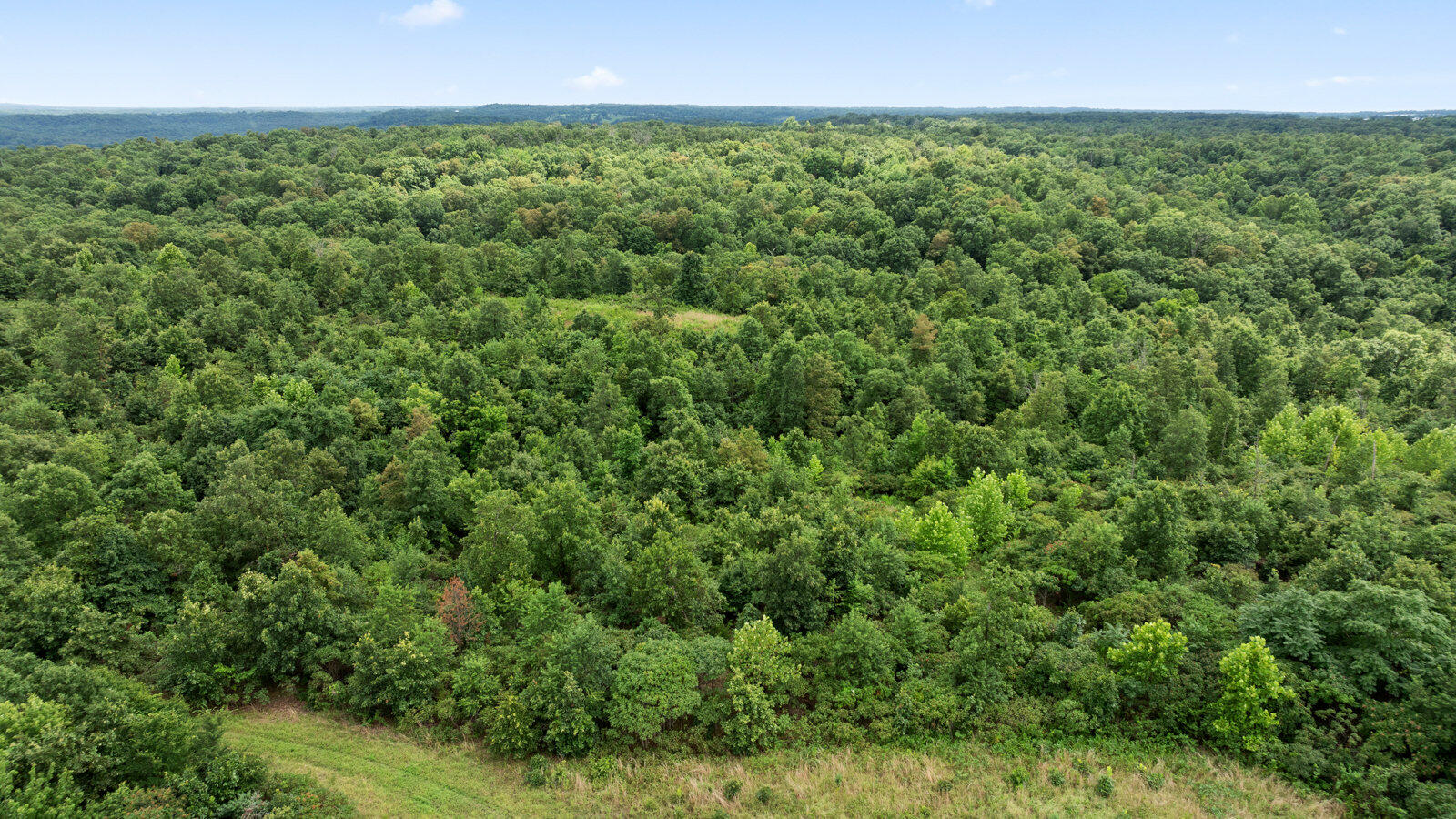 Photo 20 - Land for sale – Tract 2  Styles Road  Noel, MO