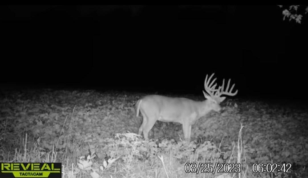 Photo 39 - Land for sale – Tract 2  Styles Road  Noel, MO
