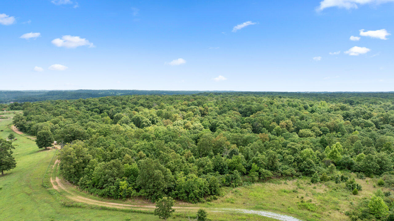 Photo 4 - Land for sale – Tract 3  Styles Road  Noel, MO