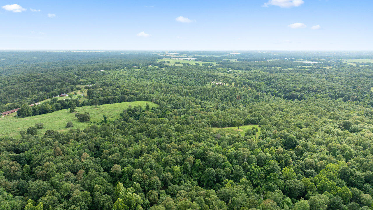 Photo 12 - Land for sale – Tract 3  Styles Road  Noel, MO