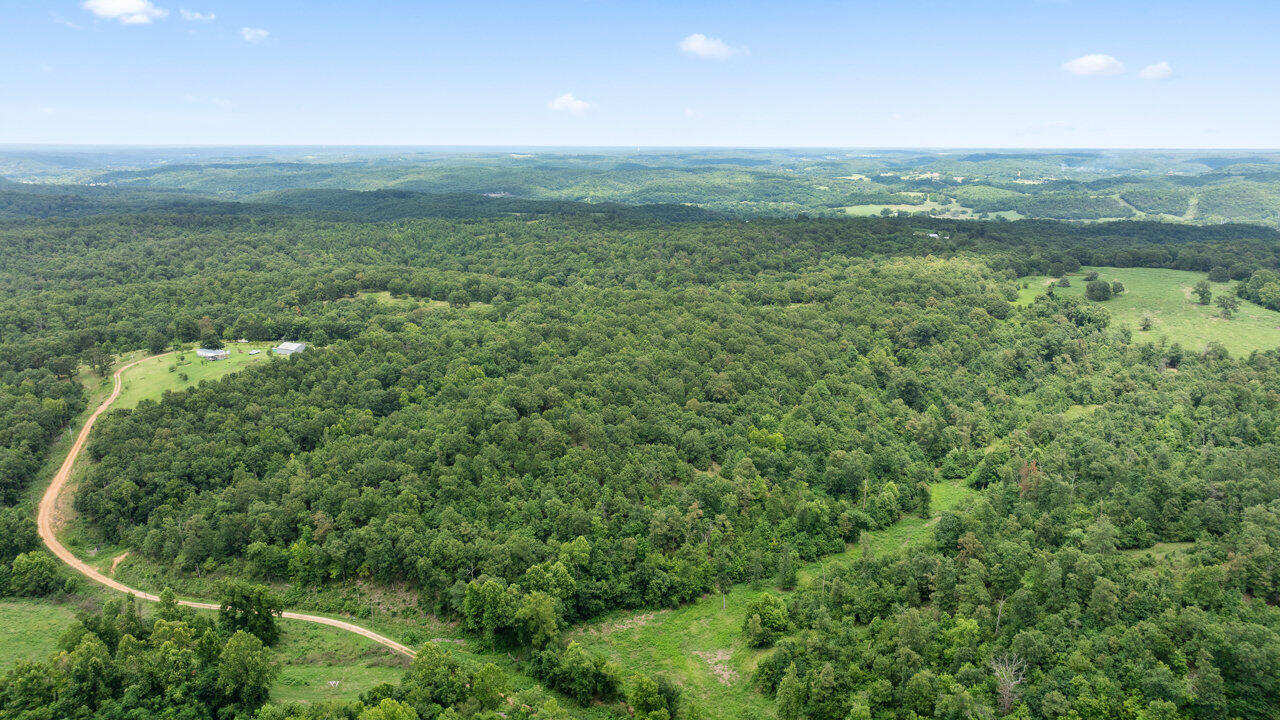 Photo 9 - Land for sale – Tract 5  Styles Road  Noel, MO