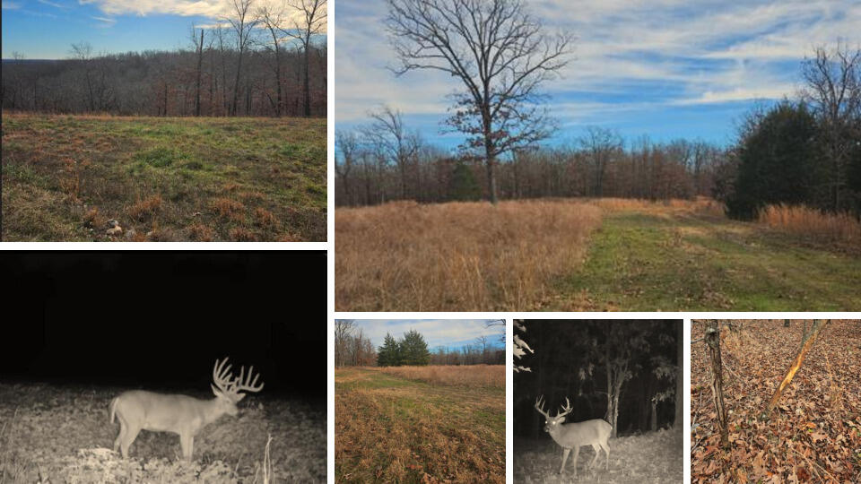 Photo 35 - Land for sale – Tract 5  Styles Road  Noel, MO