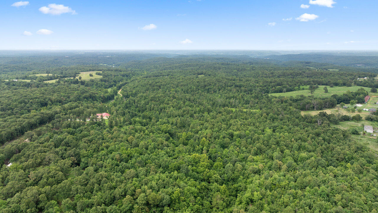 Photo 16 - Land for sale – Tract 6  Styles Road  Noel, MO
