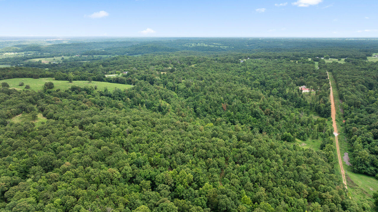 Land for sale – Tract 6 Styles Road Noel, MO