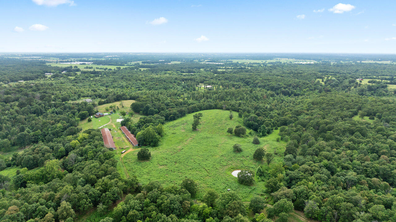 Photo 11 - Land for sale – Tract 8  Styles Road  Noel, MO
