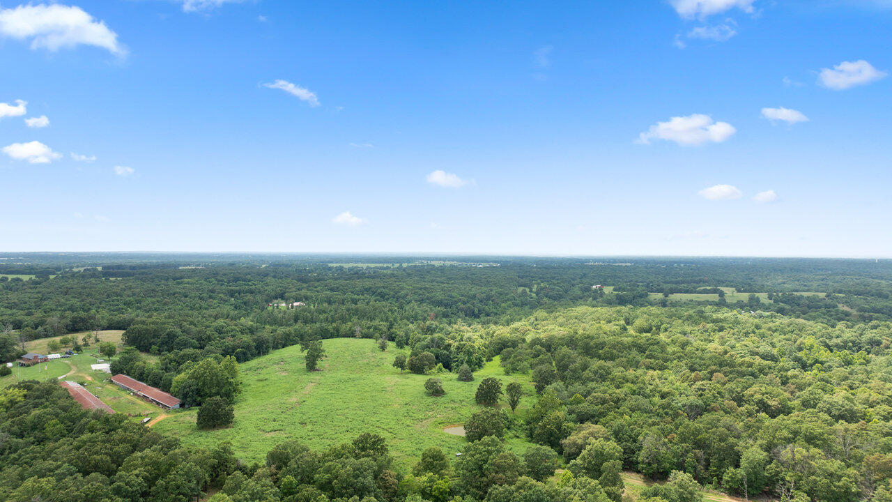 Photo 7 - Land for sale – Tract 8  Styles Road  Noel, MO