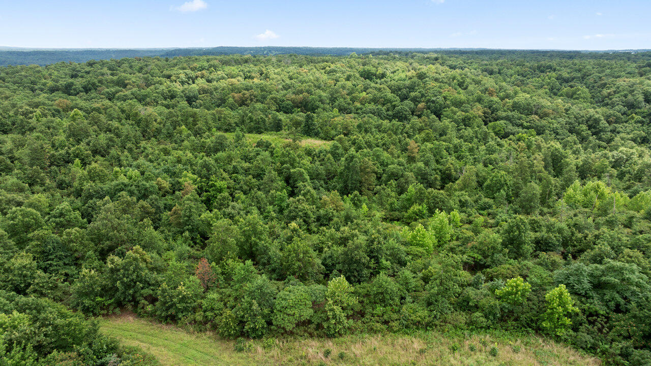 Photo 5 - Land for sale – Tract 9  Styles Road  Noel, MO