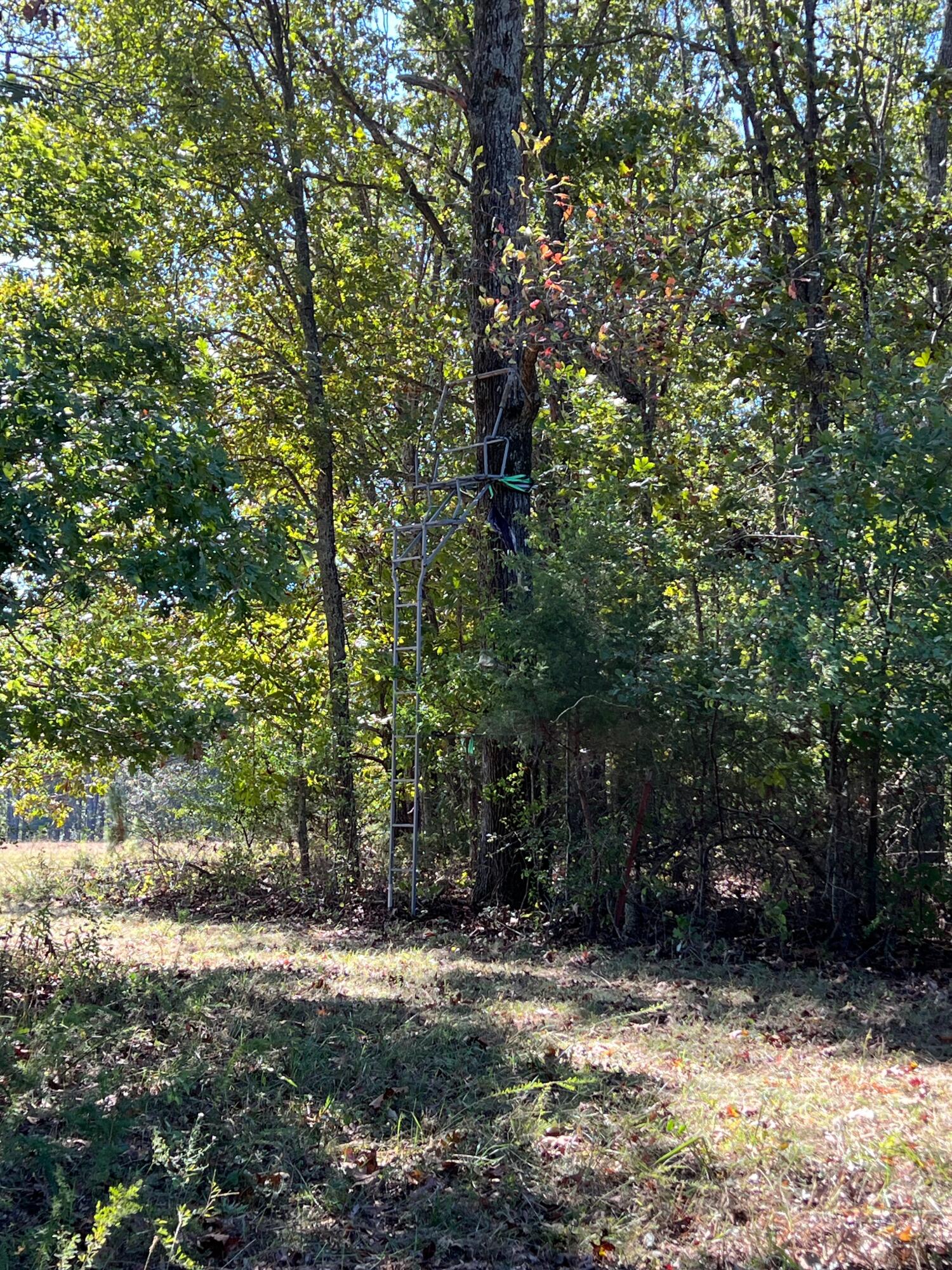Photo 95 - Land for sale – 34771  Mo-14   Ava, MO