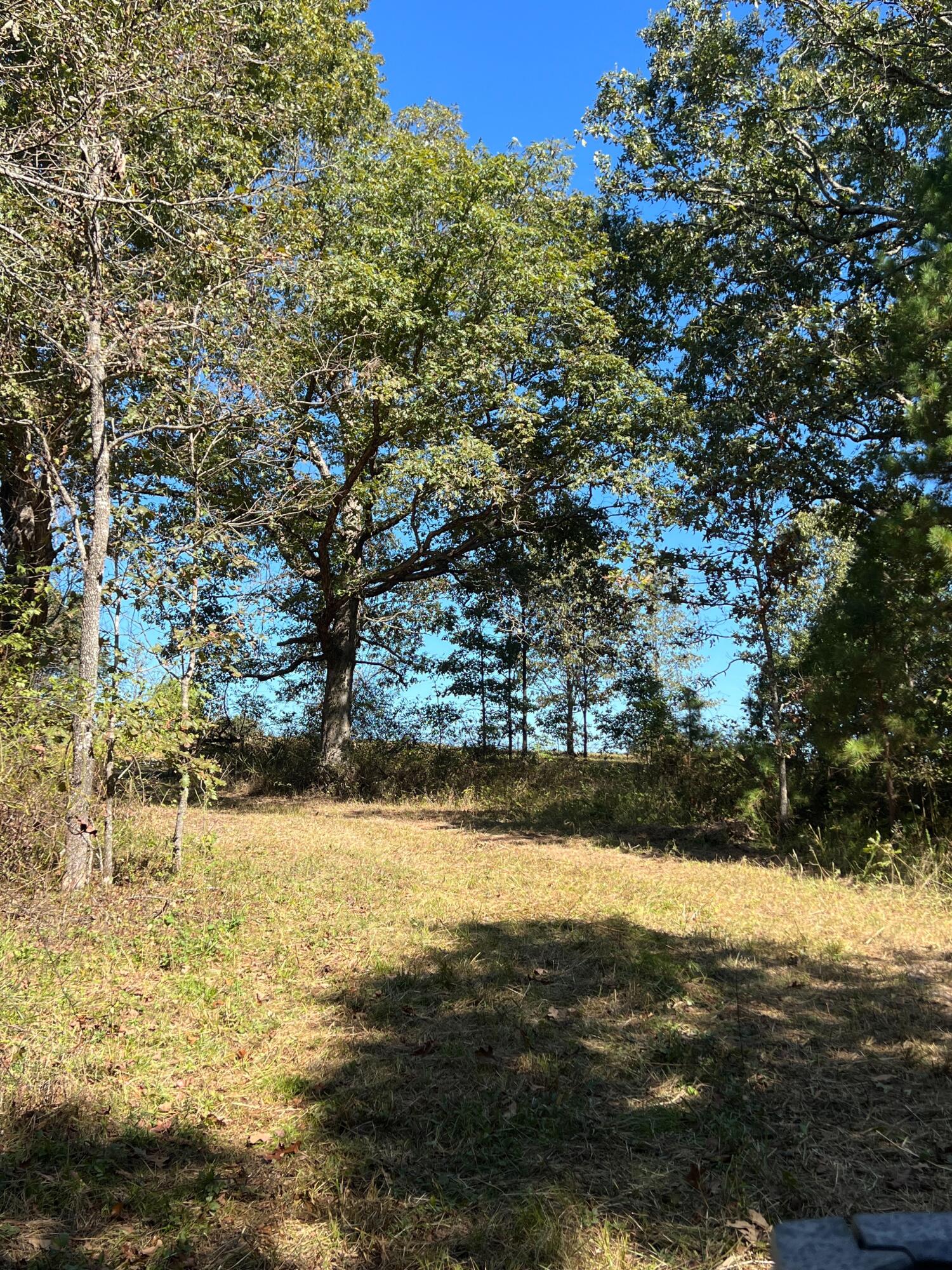 Photo 90 - Land for sale – 34771  Mo-14   Ava, MO