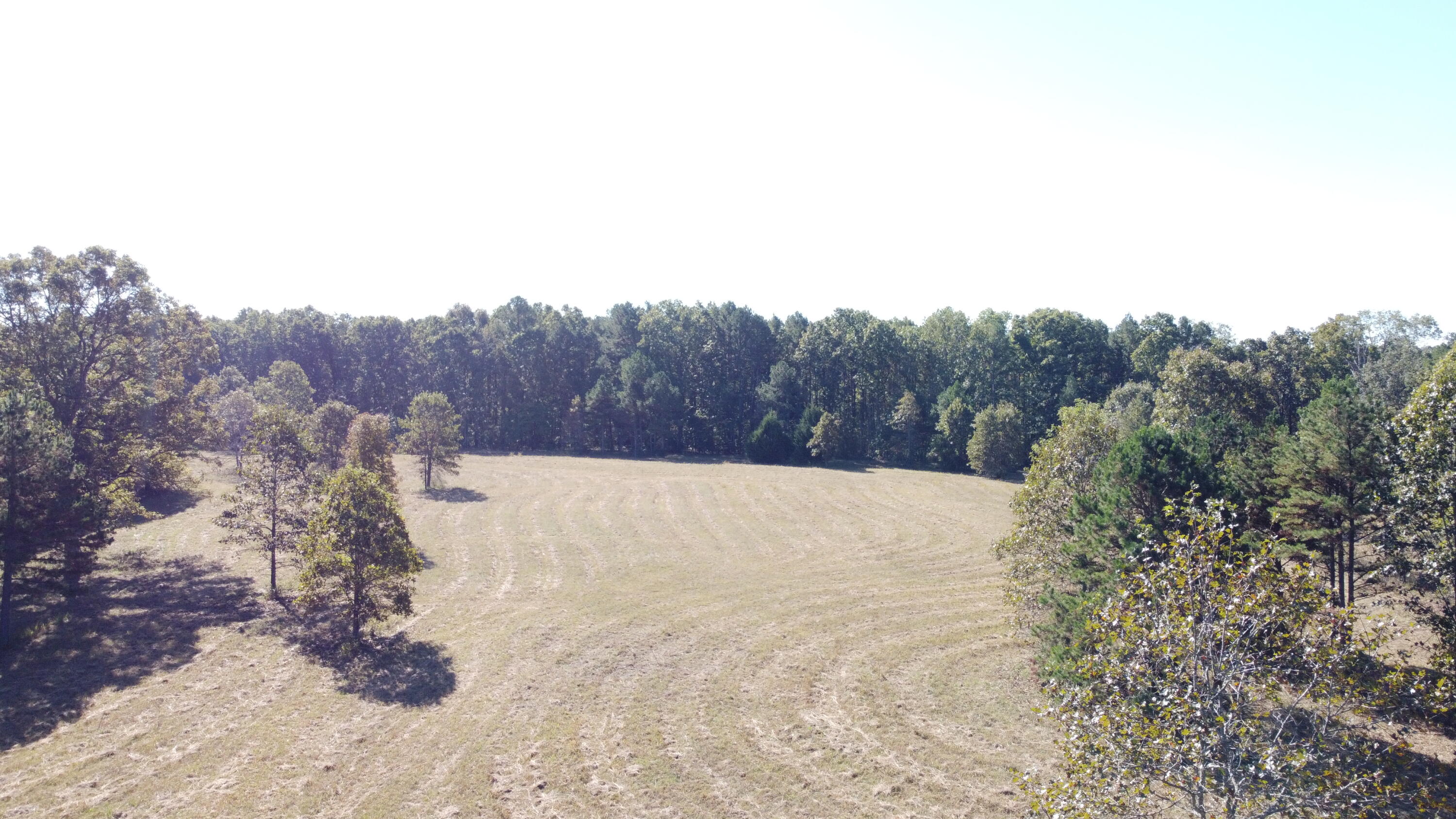 Photo 55 - Land for sale – 34771  Mo-14   Ava, MO