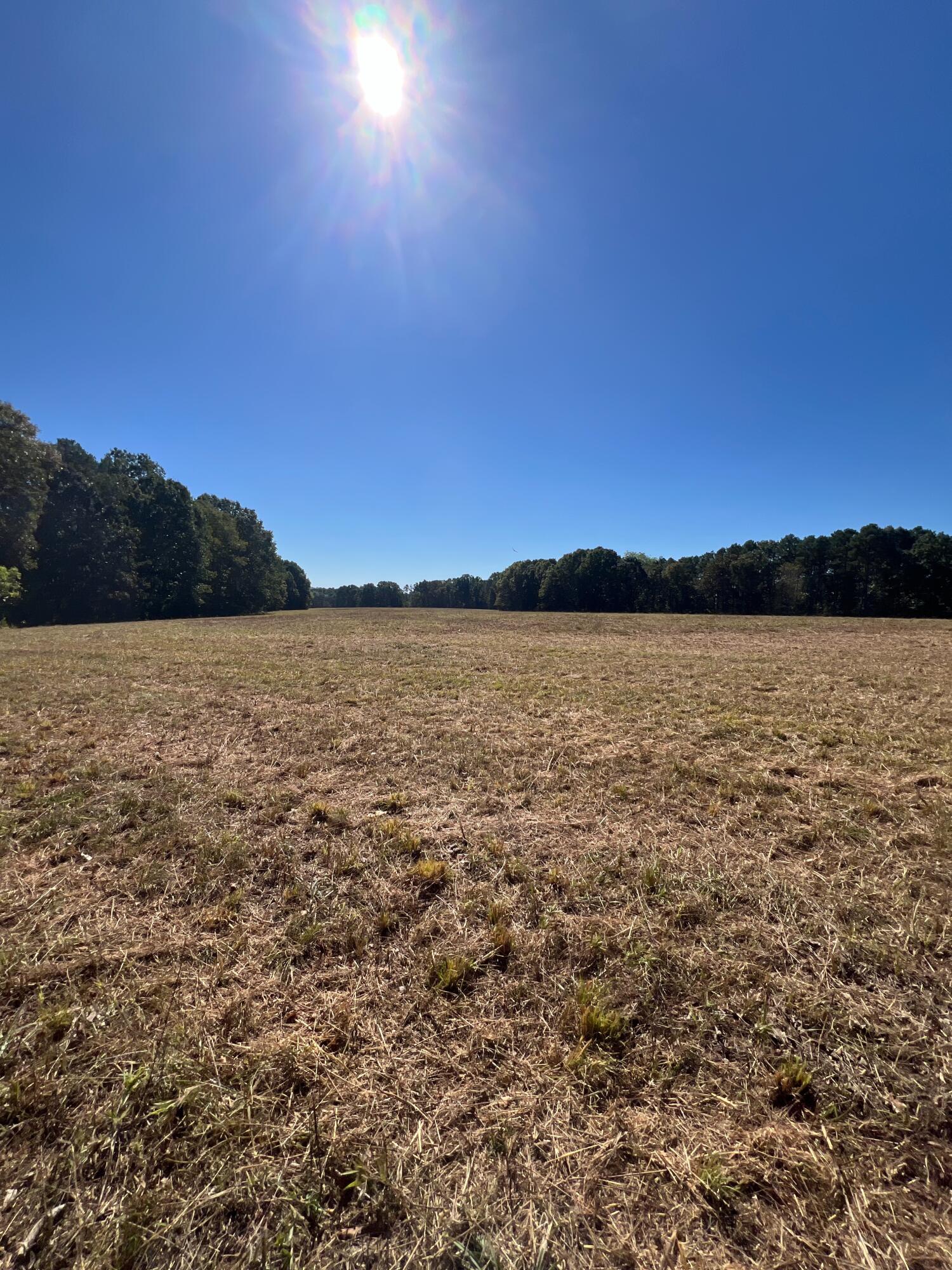 Photo 87 - Land for sale – 34771  Mo-14   Ava, MO