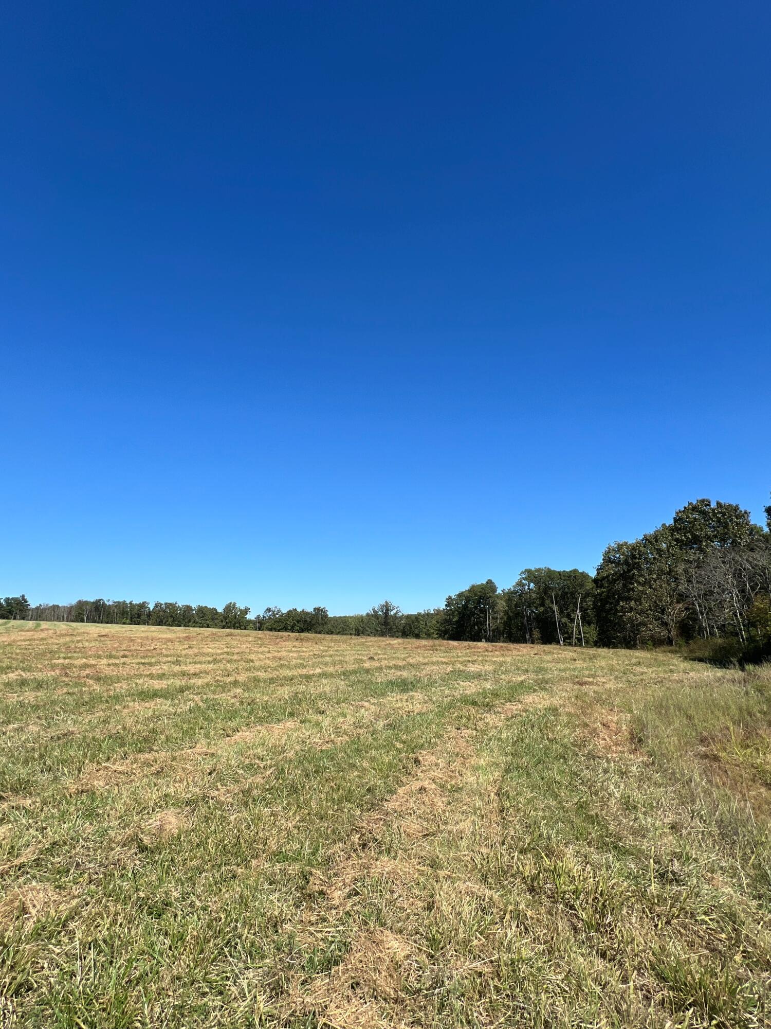 Photo 93 - Land for sale – 34771  Mo-14   Ava, MO