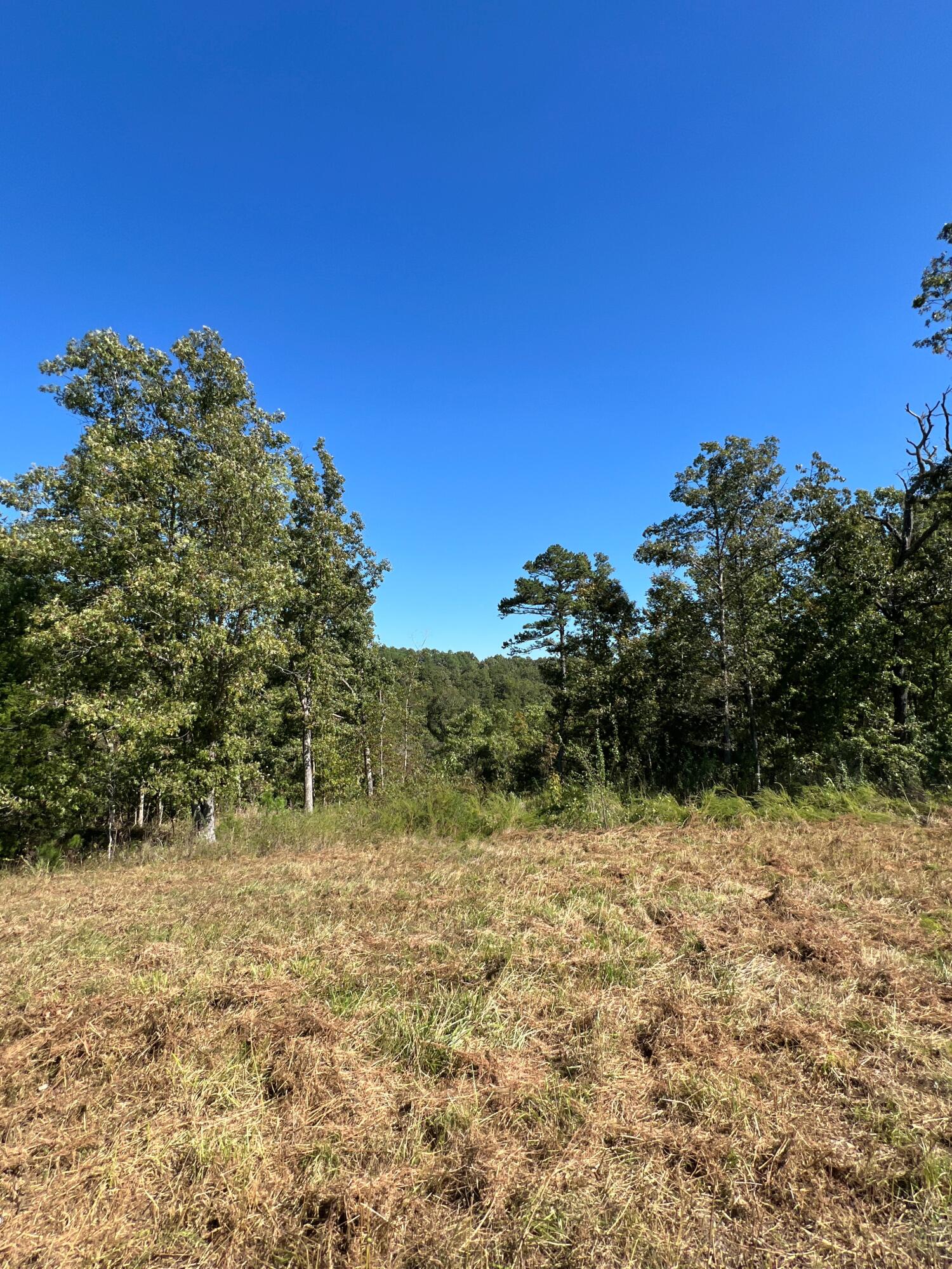 Photo 101 - Land for sale – 34771  Mo-14   Ava, MO