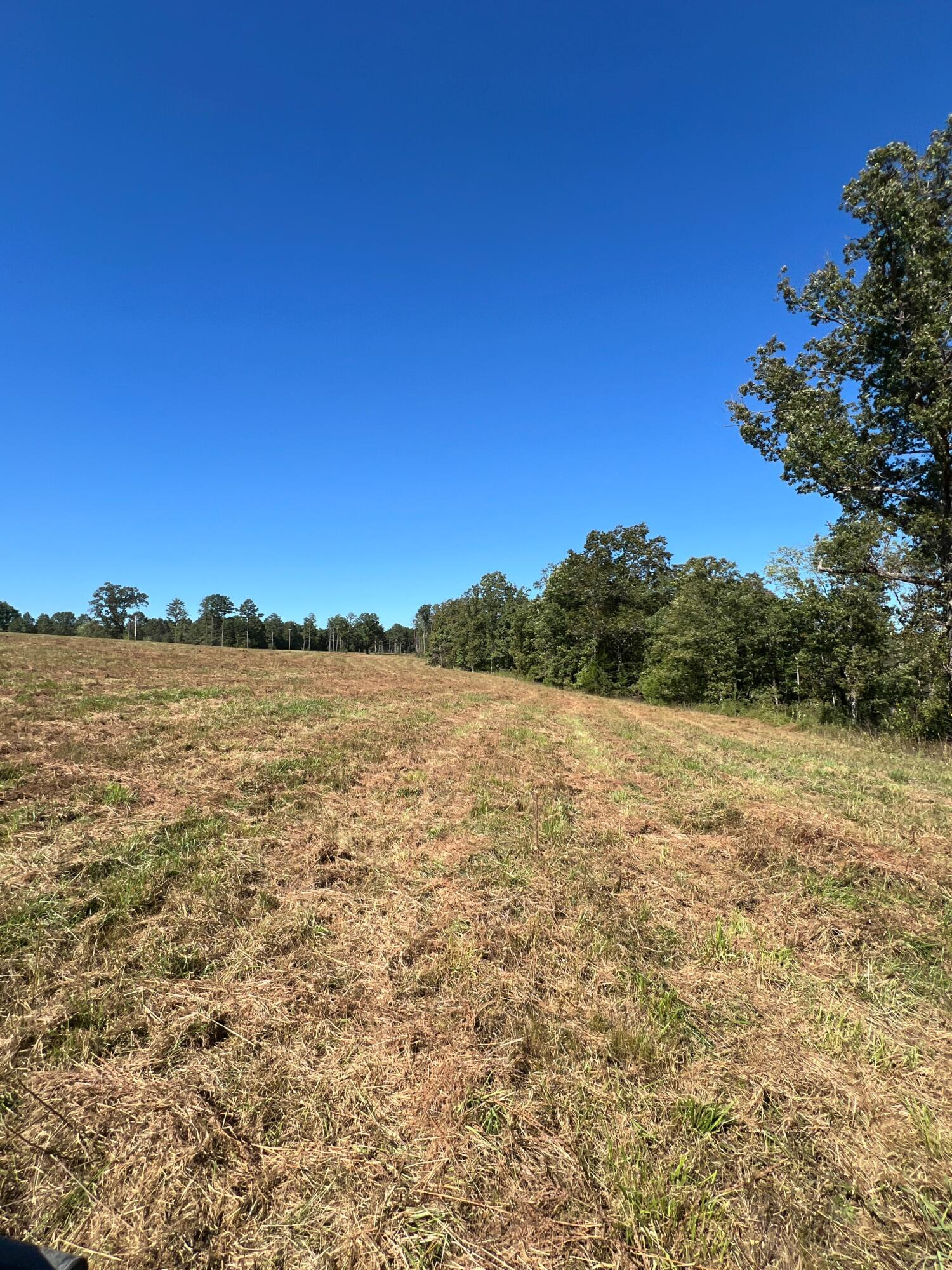 Photo 120 - Land for sale – 34771  Mo-14   Ava, MO
