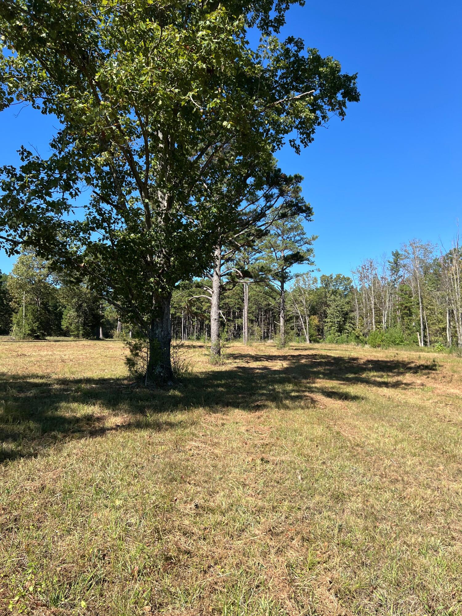 Photo 80 - Land for sale – 34771  Mo-14   Ava, MO