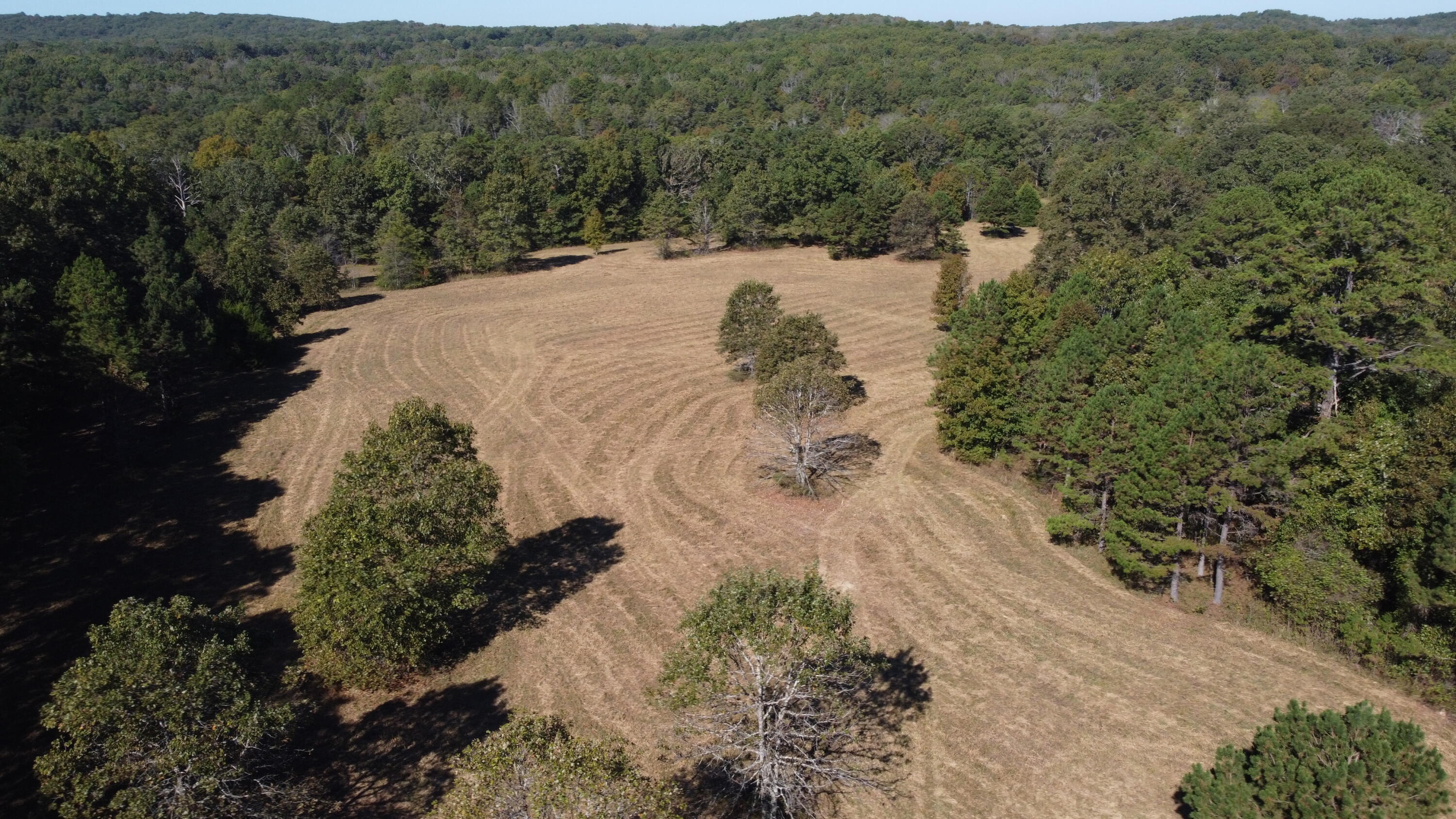 Photo 57 - Land for sale – 34771  Mo-14   Ava, MO