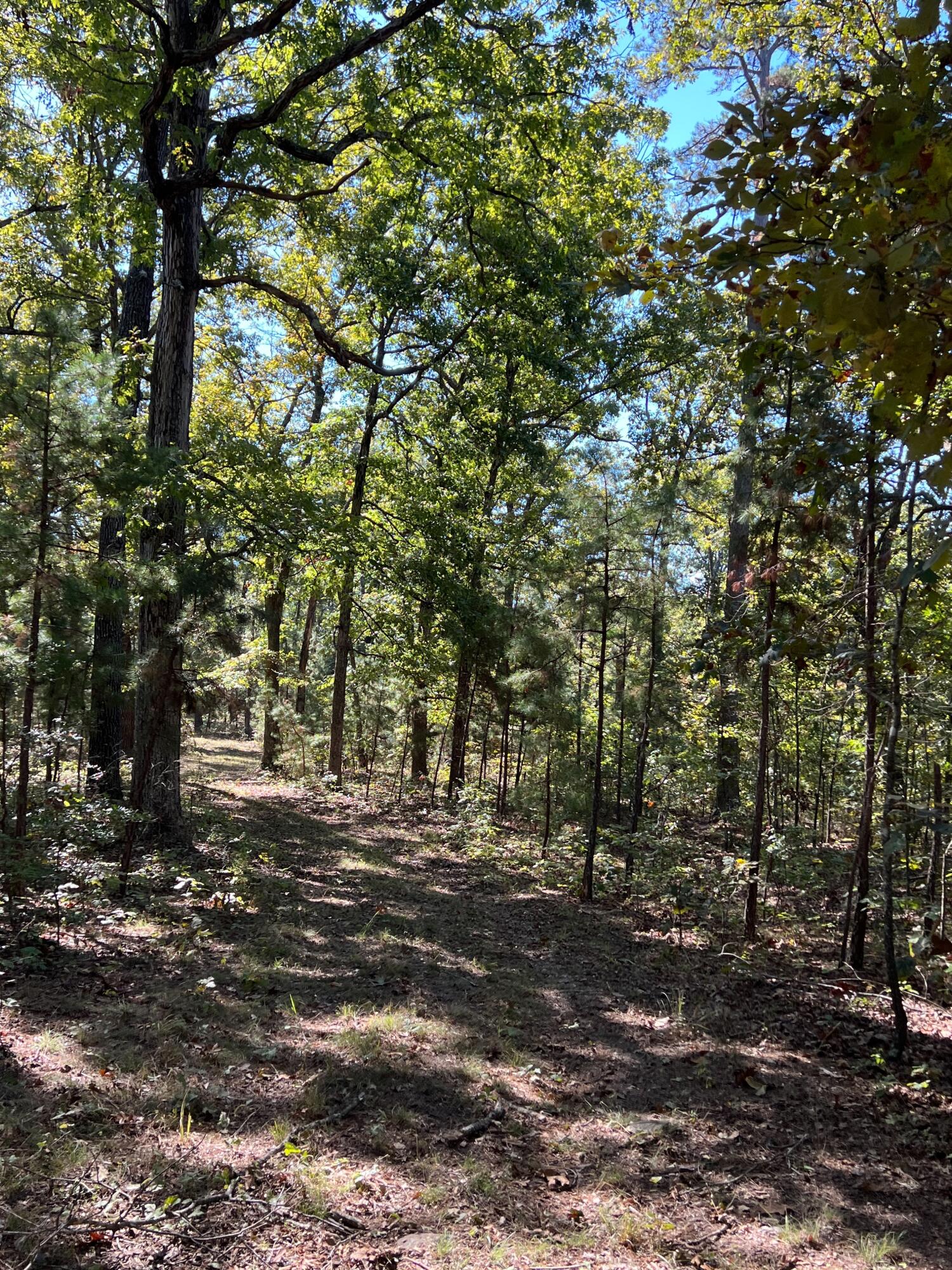 Photo 98 - Land for sale – 34771  Mo-14   Ava, MO