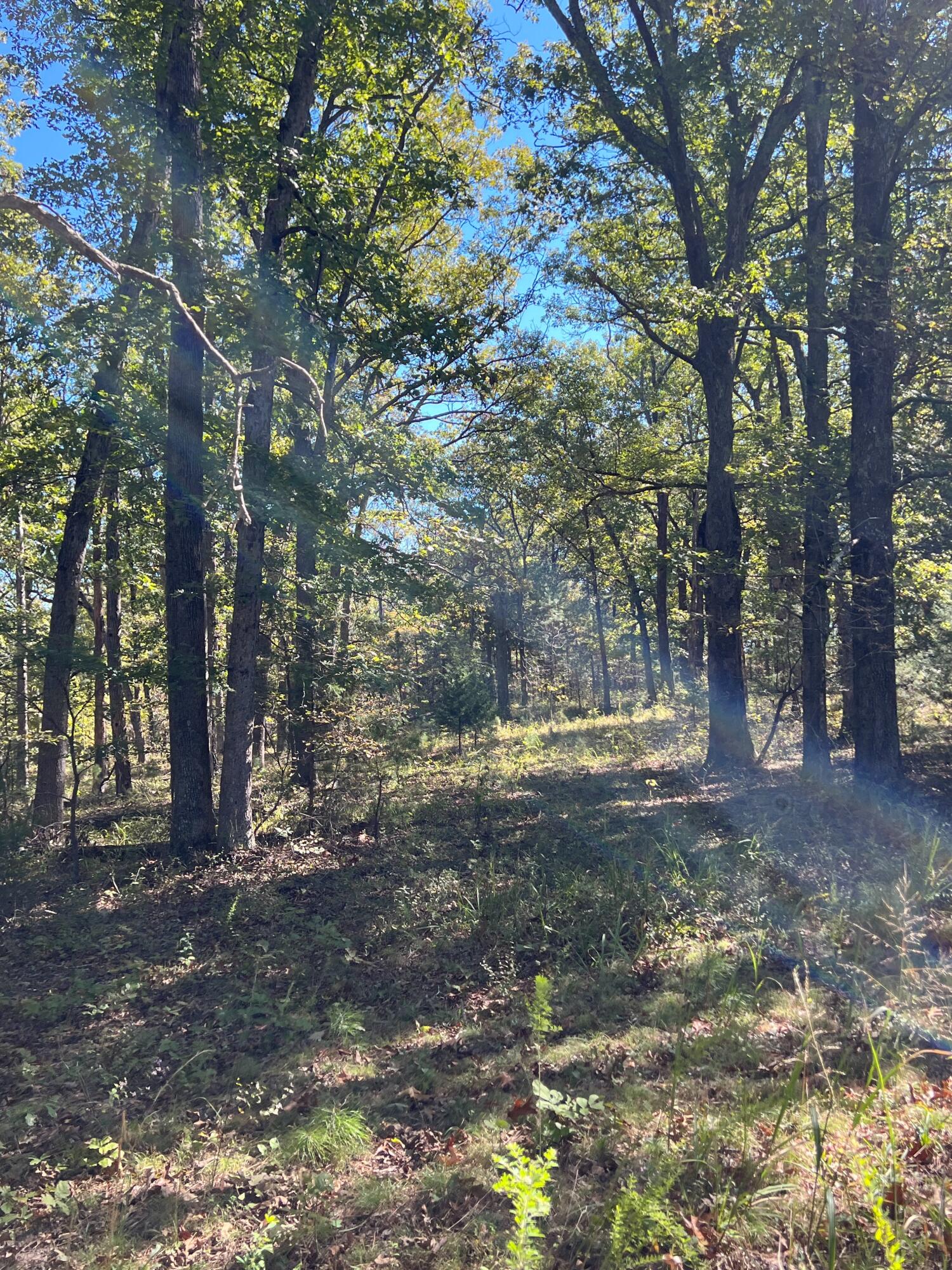 Photo 97 - Land for sale – 34771  Mo-14   Ava, MO