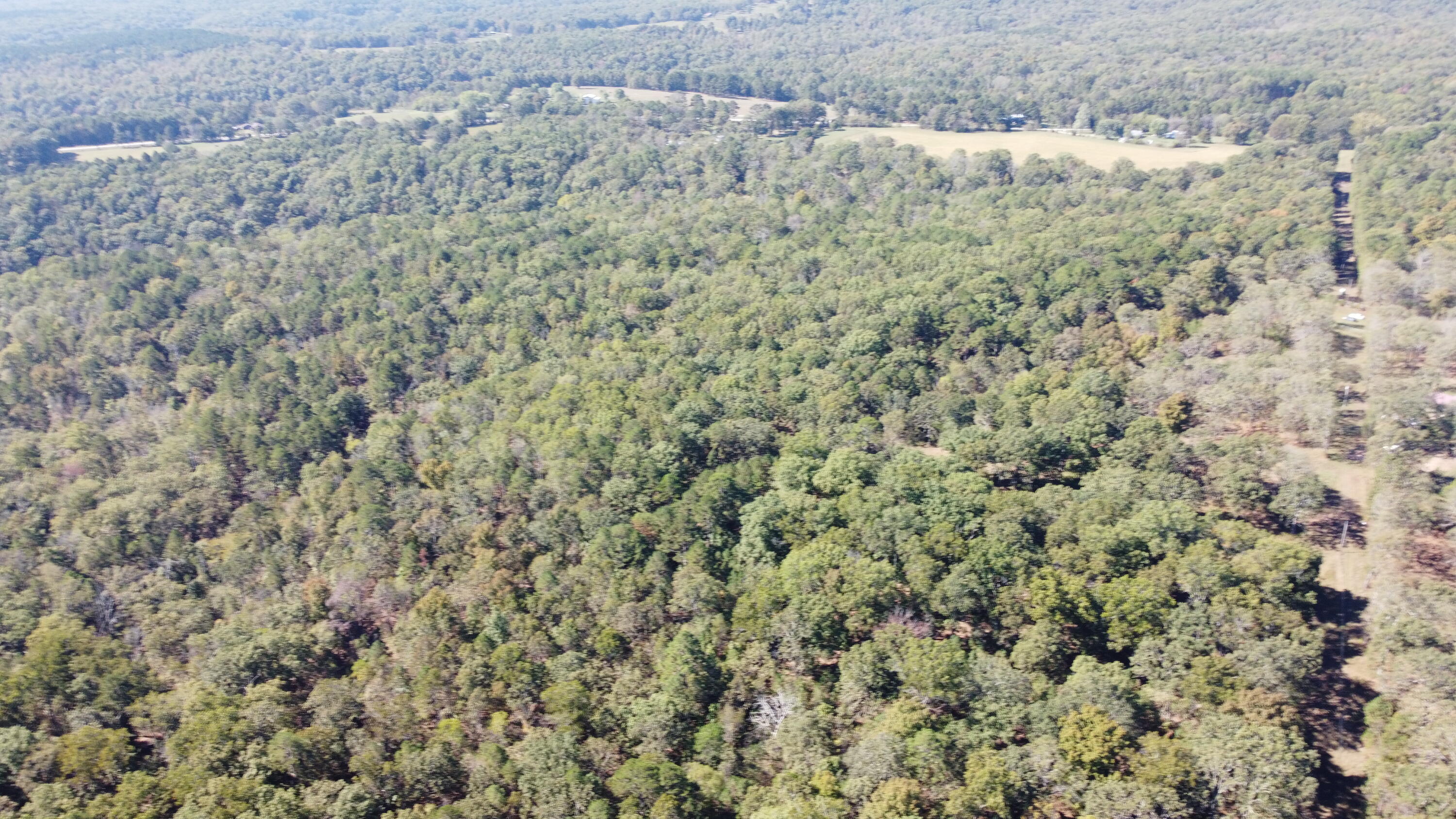 Photo 70 - Land for sale – 34771  Mo-14   Ava, MO