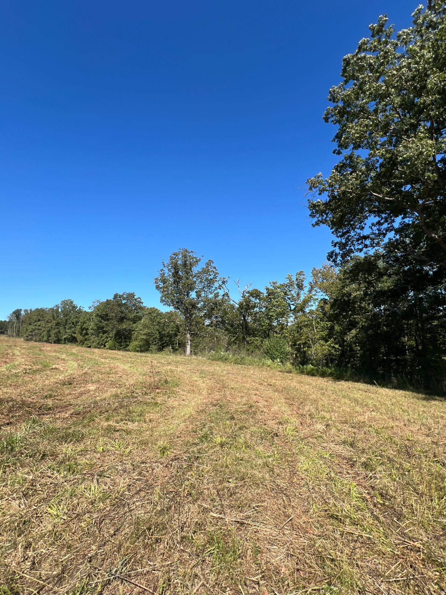 Photo 94 - Land for sale – 34771  Mo-14   Ava, MO