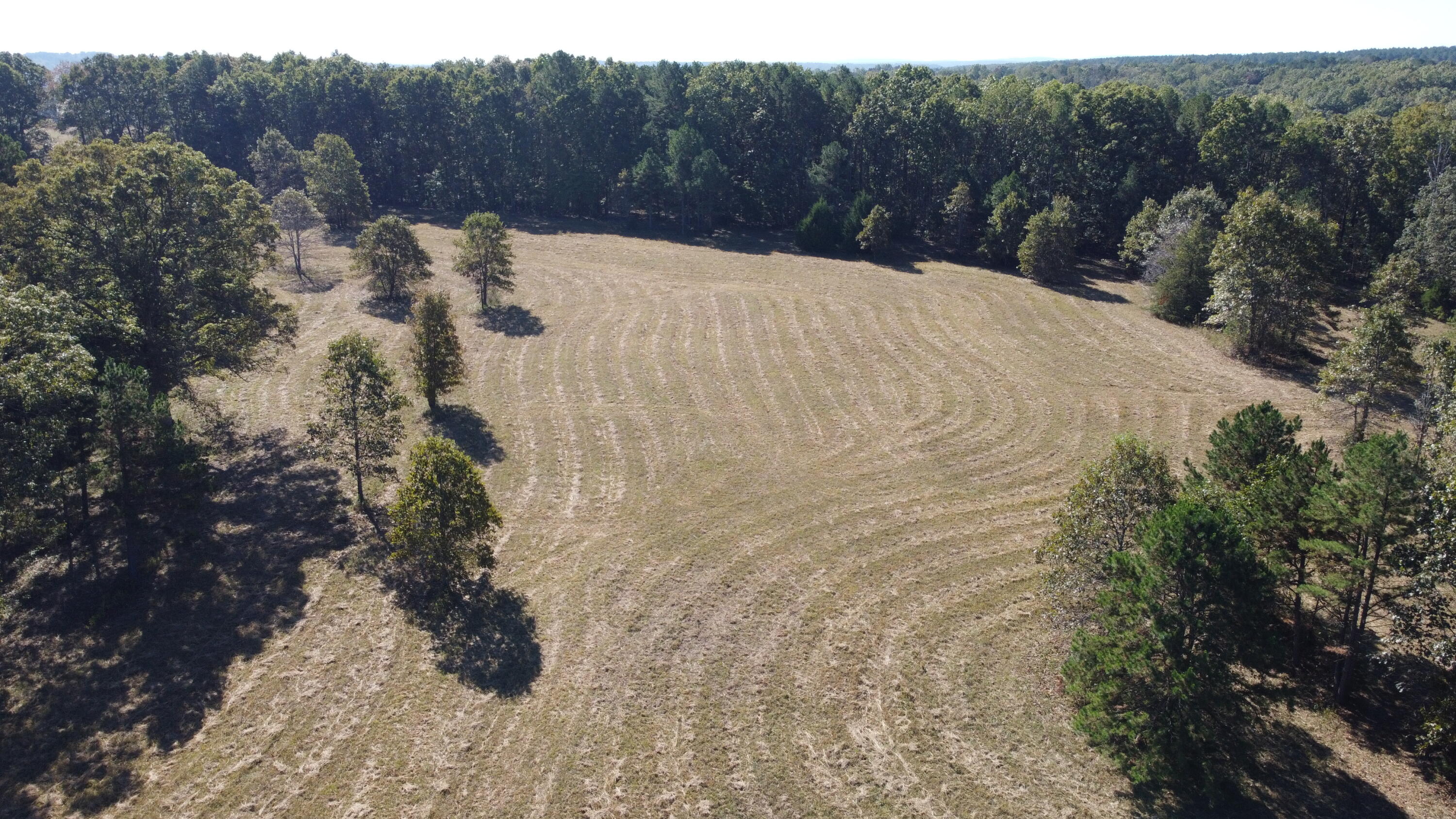 Photo 56 - Land for sale – 34771  Mo-14   Ava, MO
