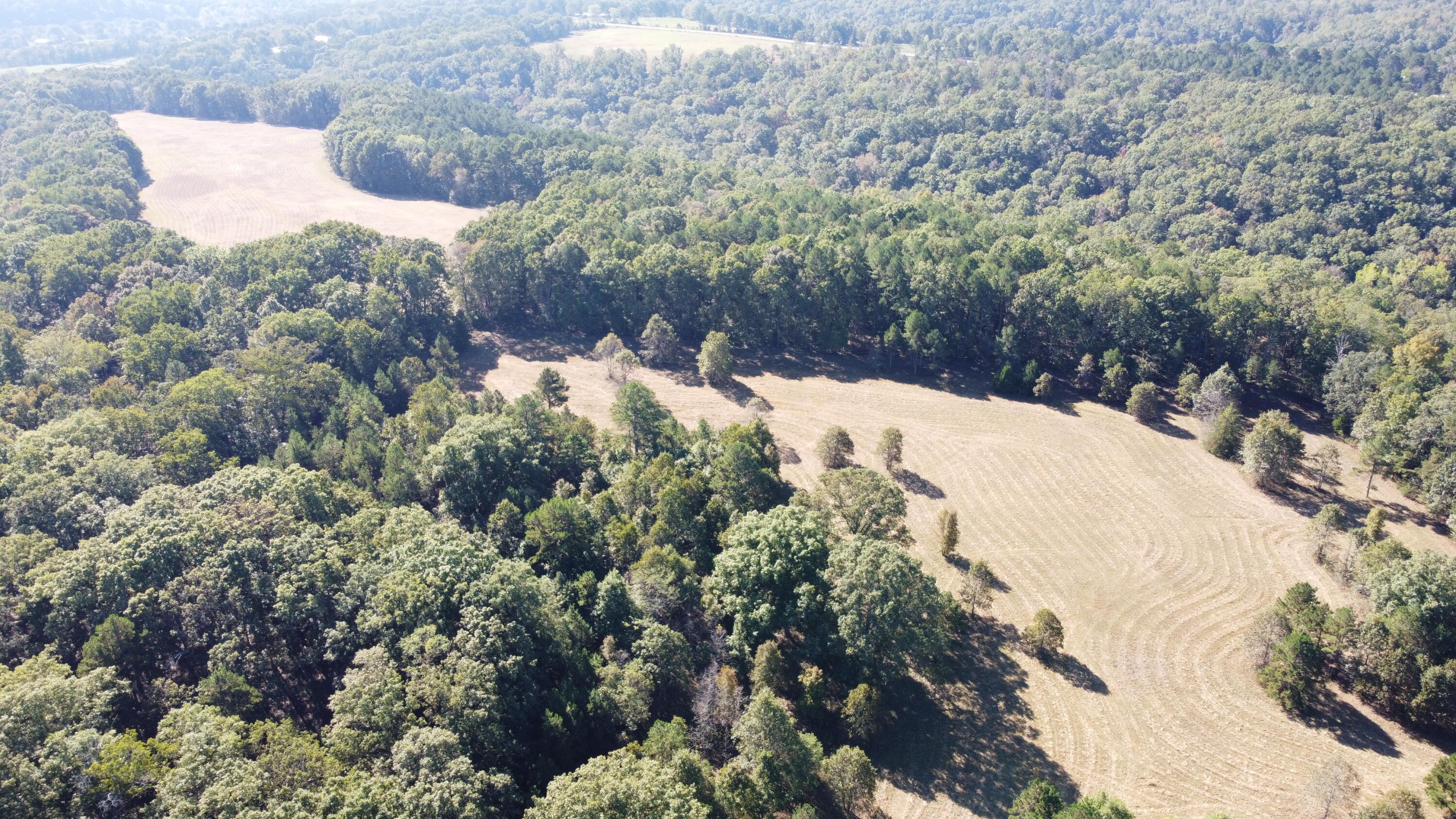Photo 46 - Land for sale – 34771  Mo-14   Ava, MO