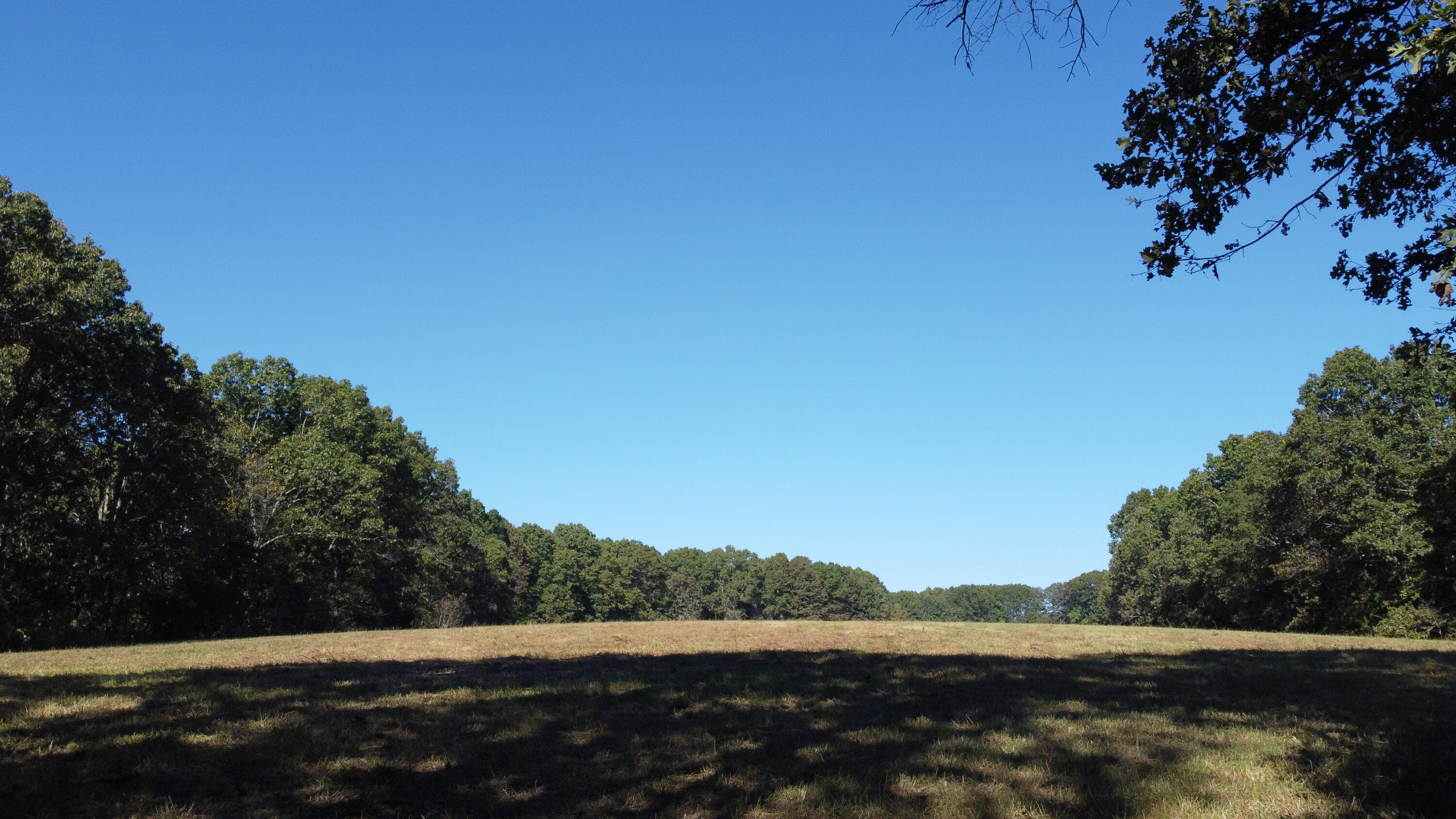 Photo 32 - Land for sale – 34771  Mo-14   Ava, MO