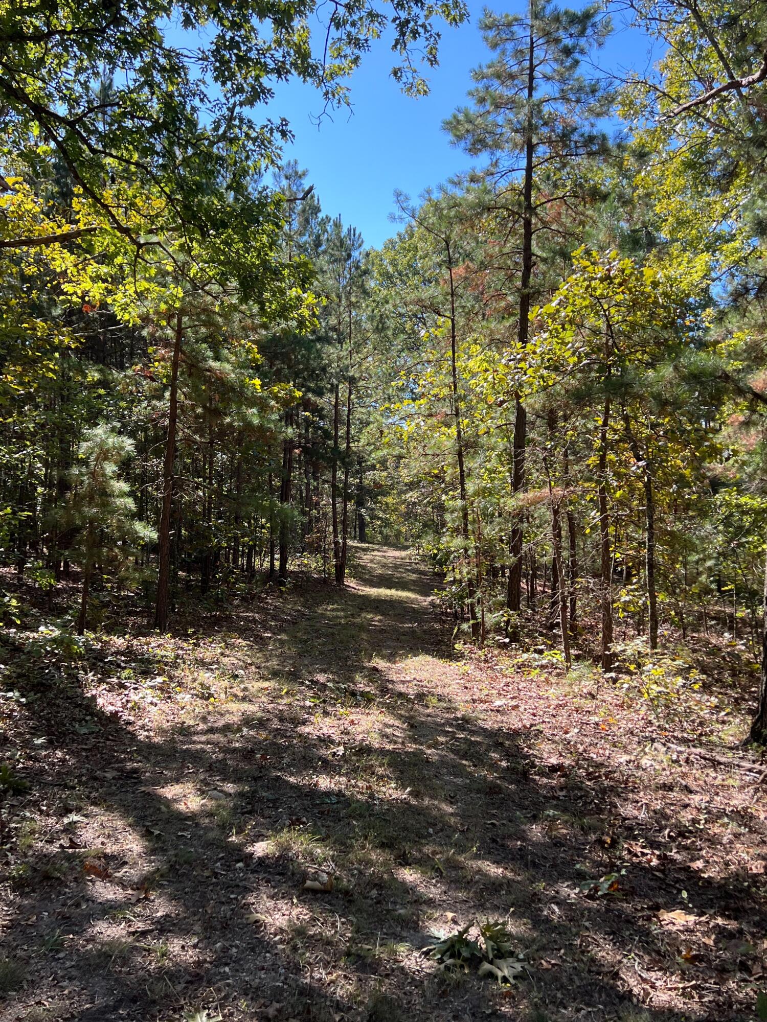 Photo 92 - Land for sale – 34771  Mo-14   Ava, MO