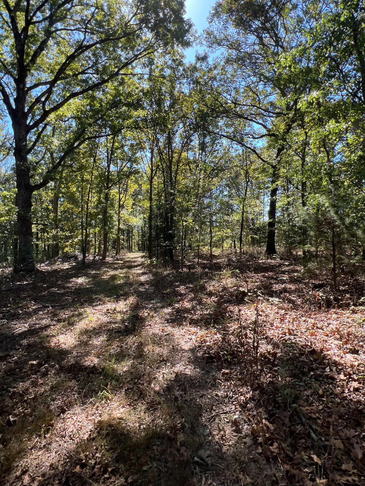 Photo 113 - Land for sale – 34771  Mo-14   Ava, MO
