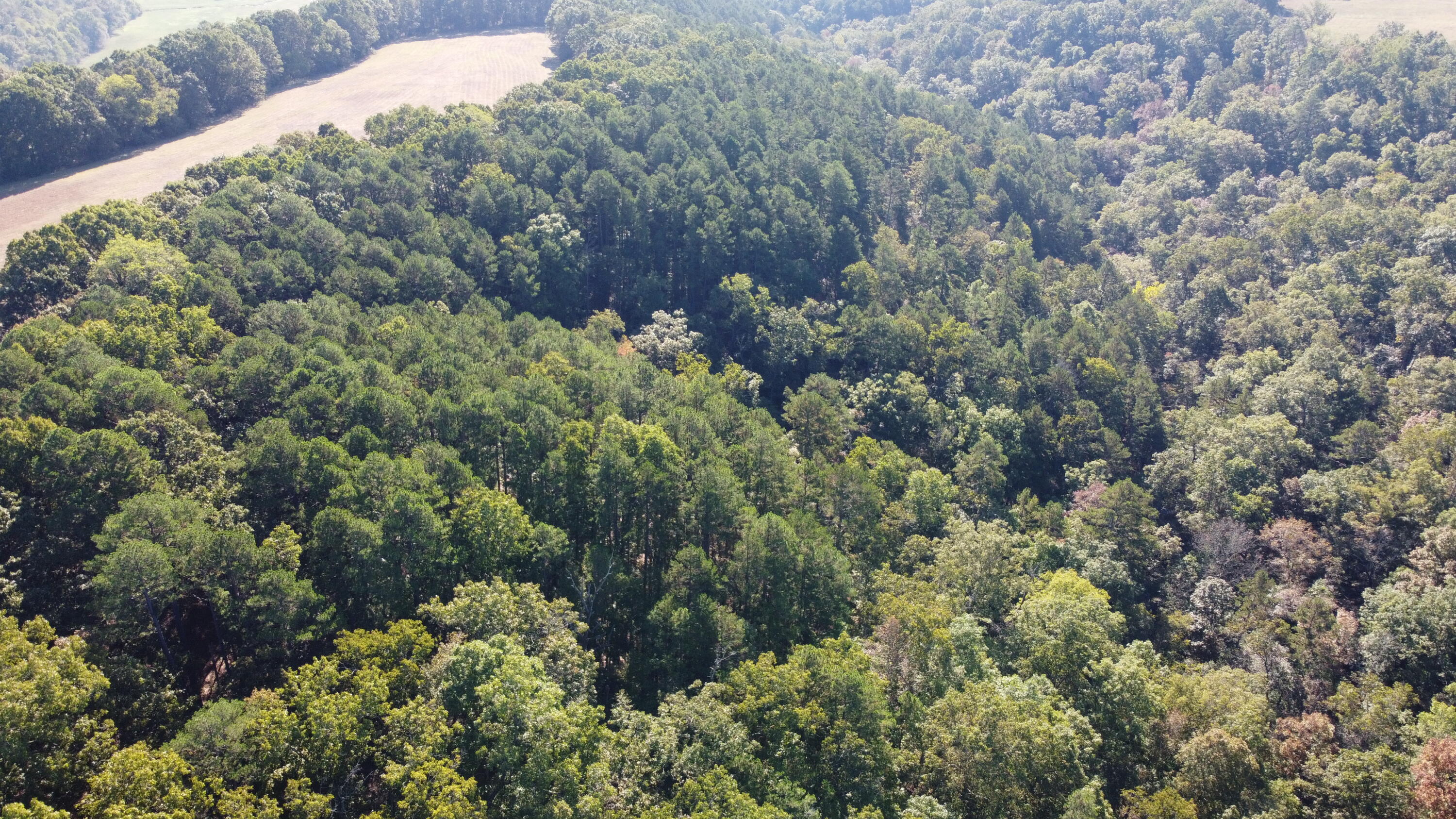 Photo 21 - Land for sale – 34771  Mo-14   Ava, MO