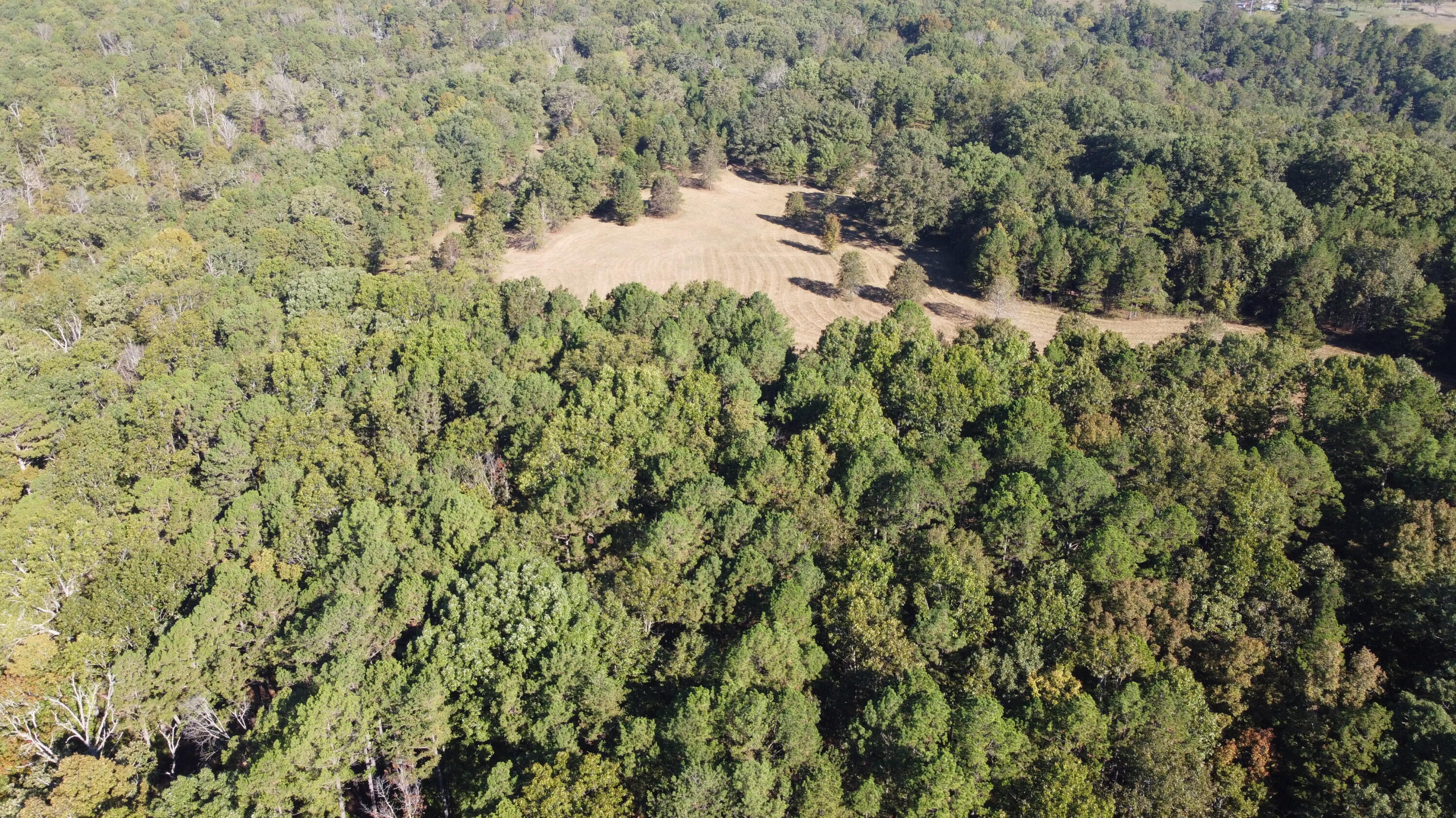 Photo 23 - Land for sale – 34771  Mo-14   Ava, MO