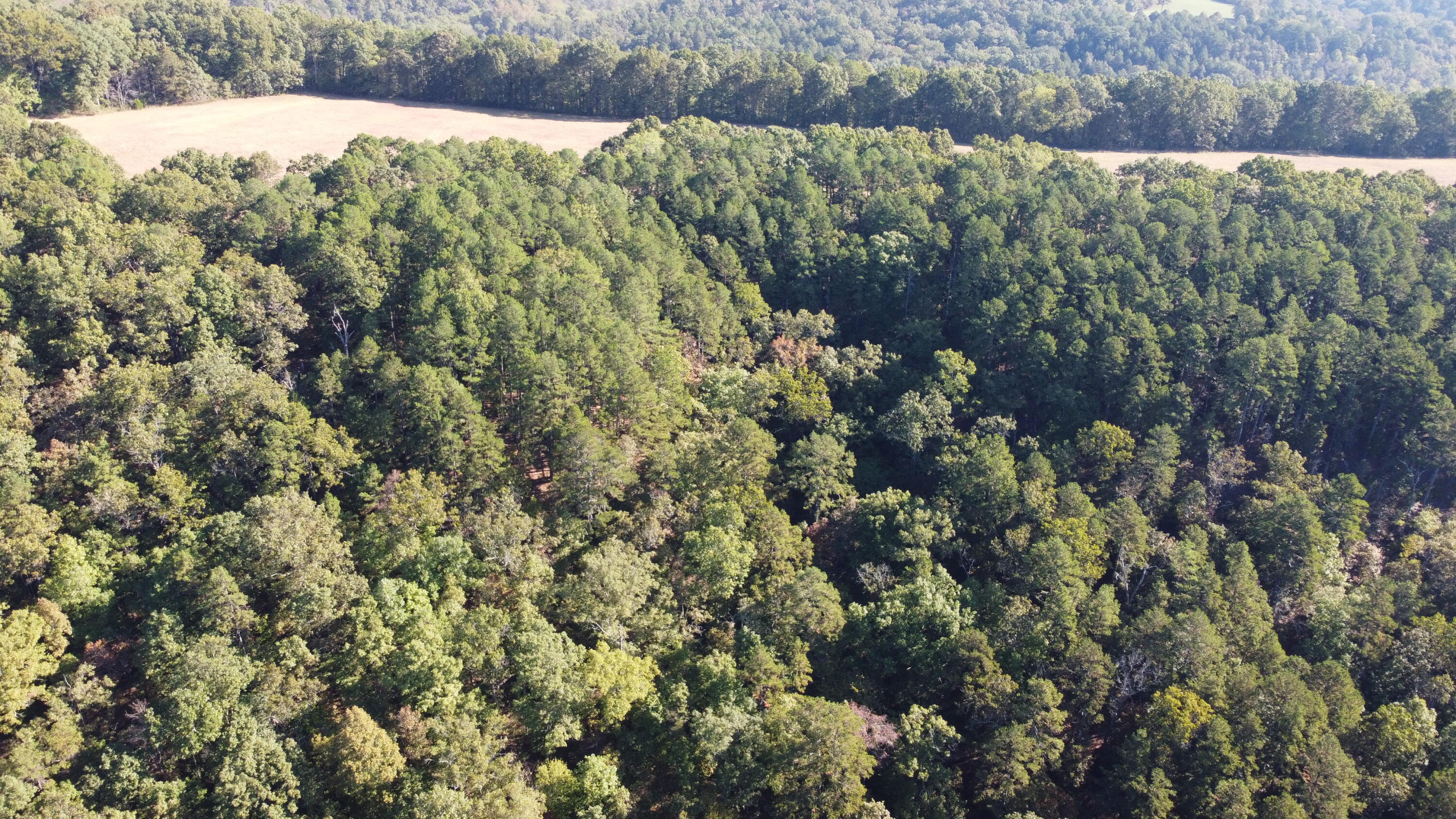 Photo 18 - Land for sale – 34771  Mo-14   Ava, MO