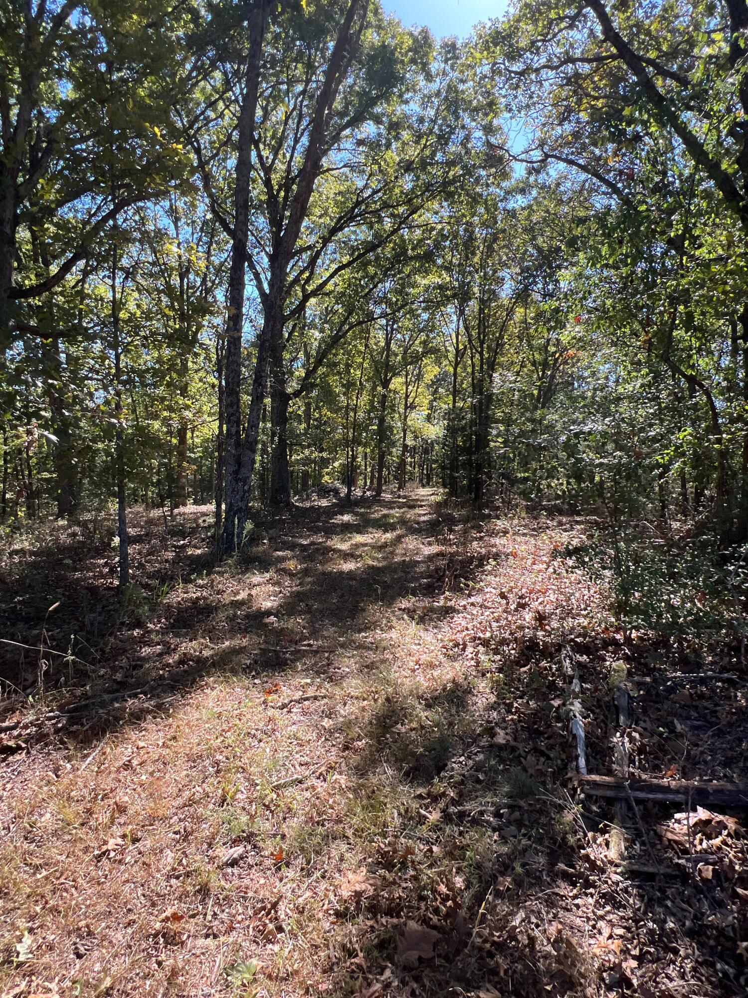 Photo 103 - Land for sale – 34771  Mo-14   Ava, MO